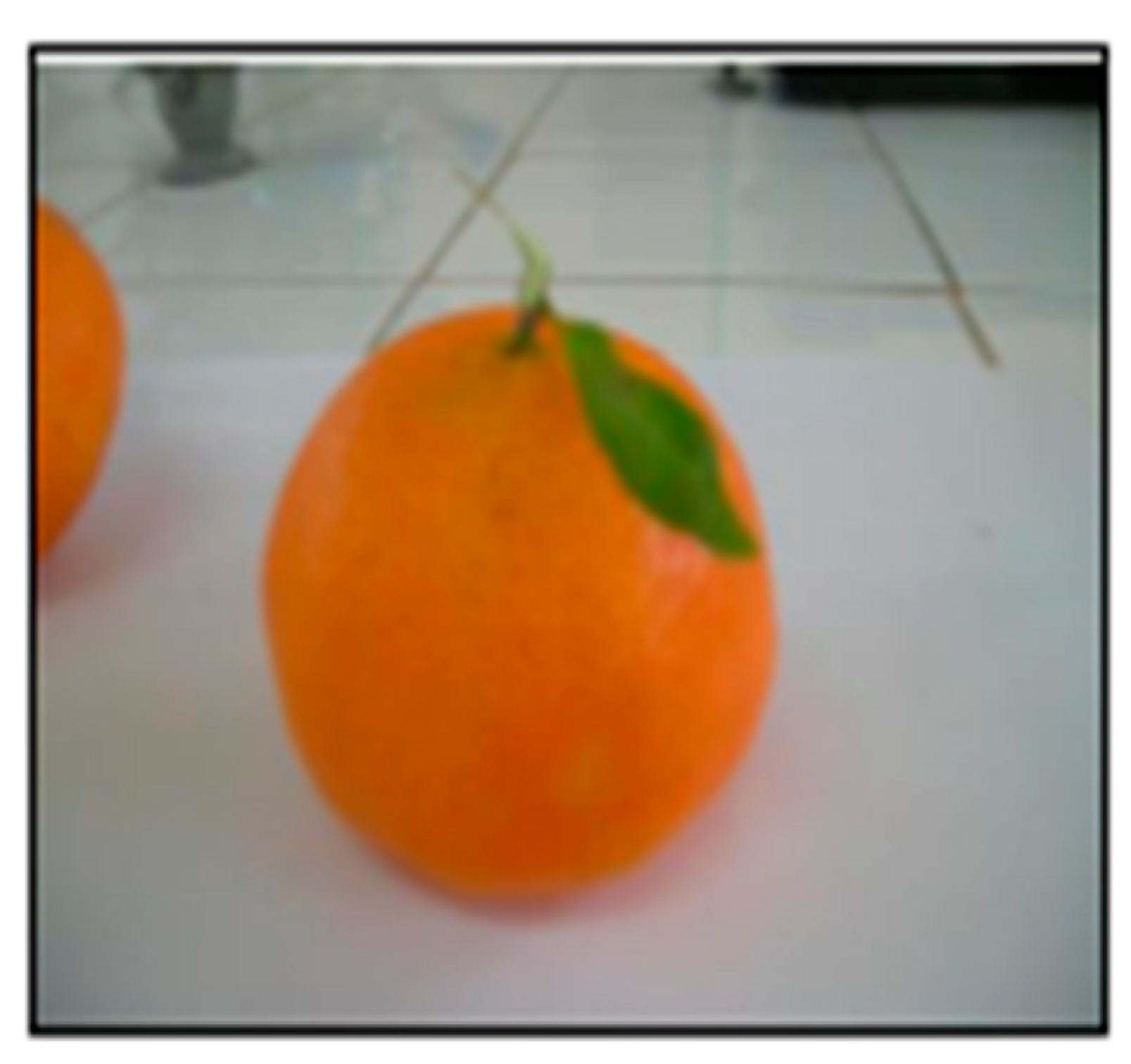 Preprints 153600 g010