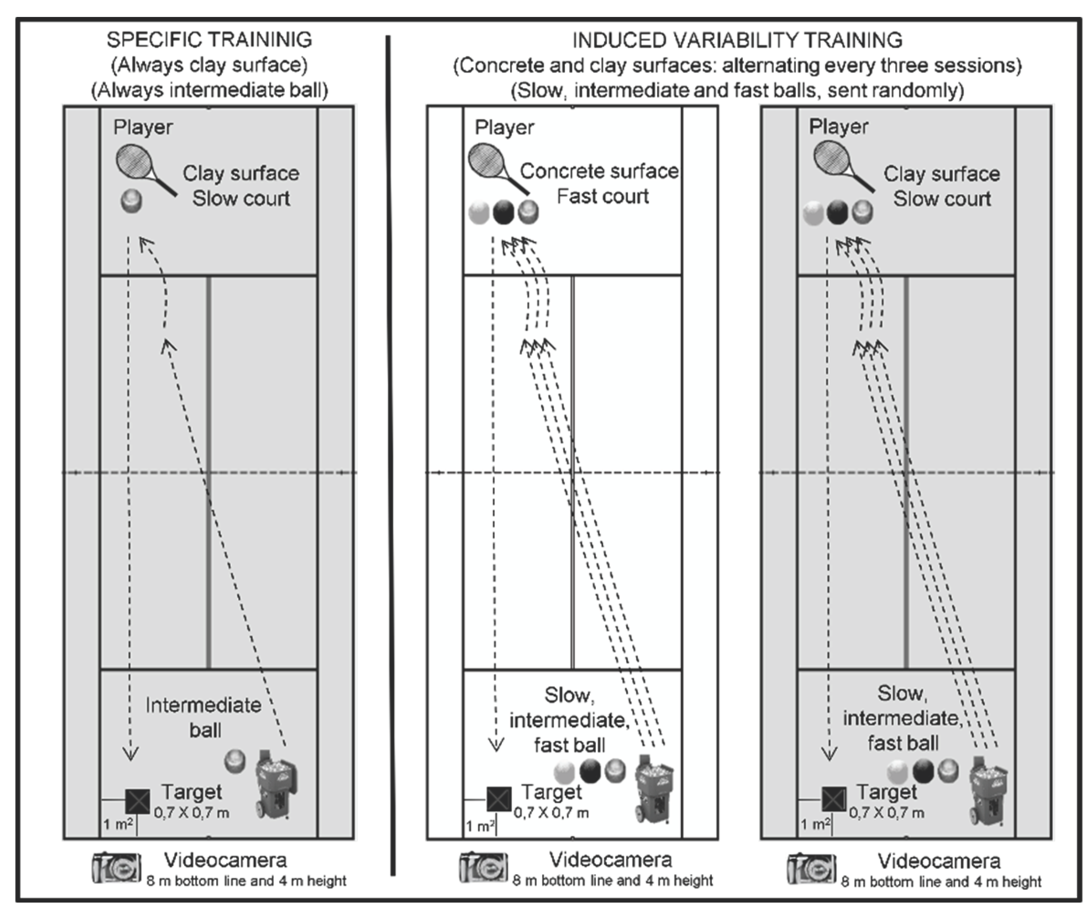 Preprints 101287 g001
