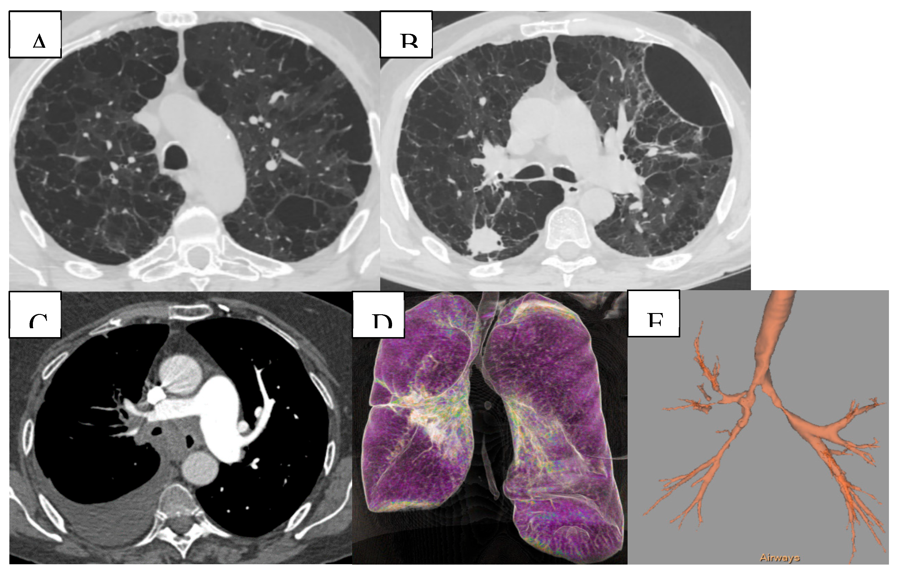 Preprints 192571 g005