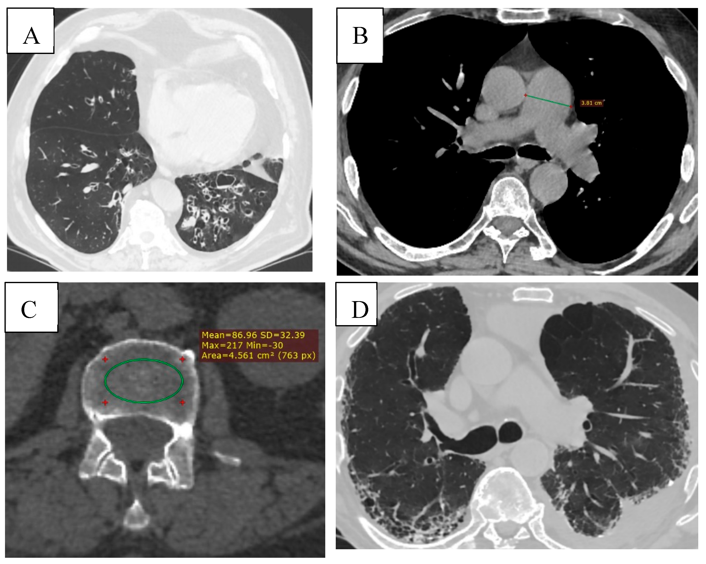 Preprints 192571 g006