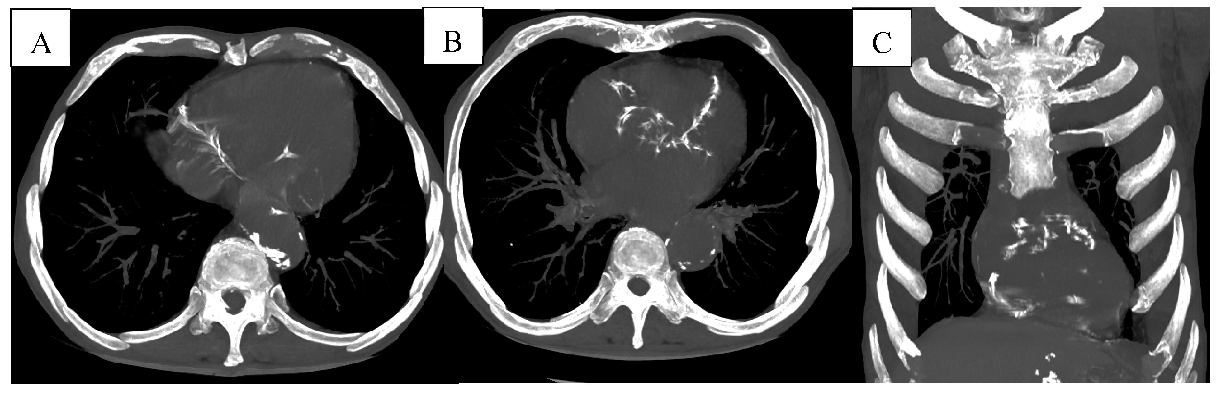 Preprints 192571 g009