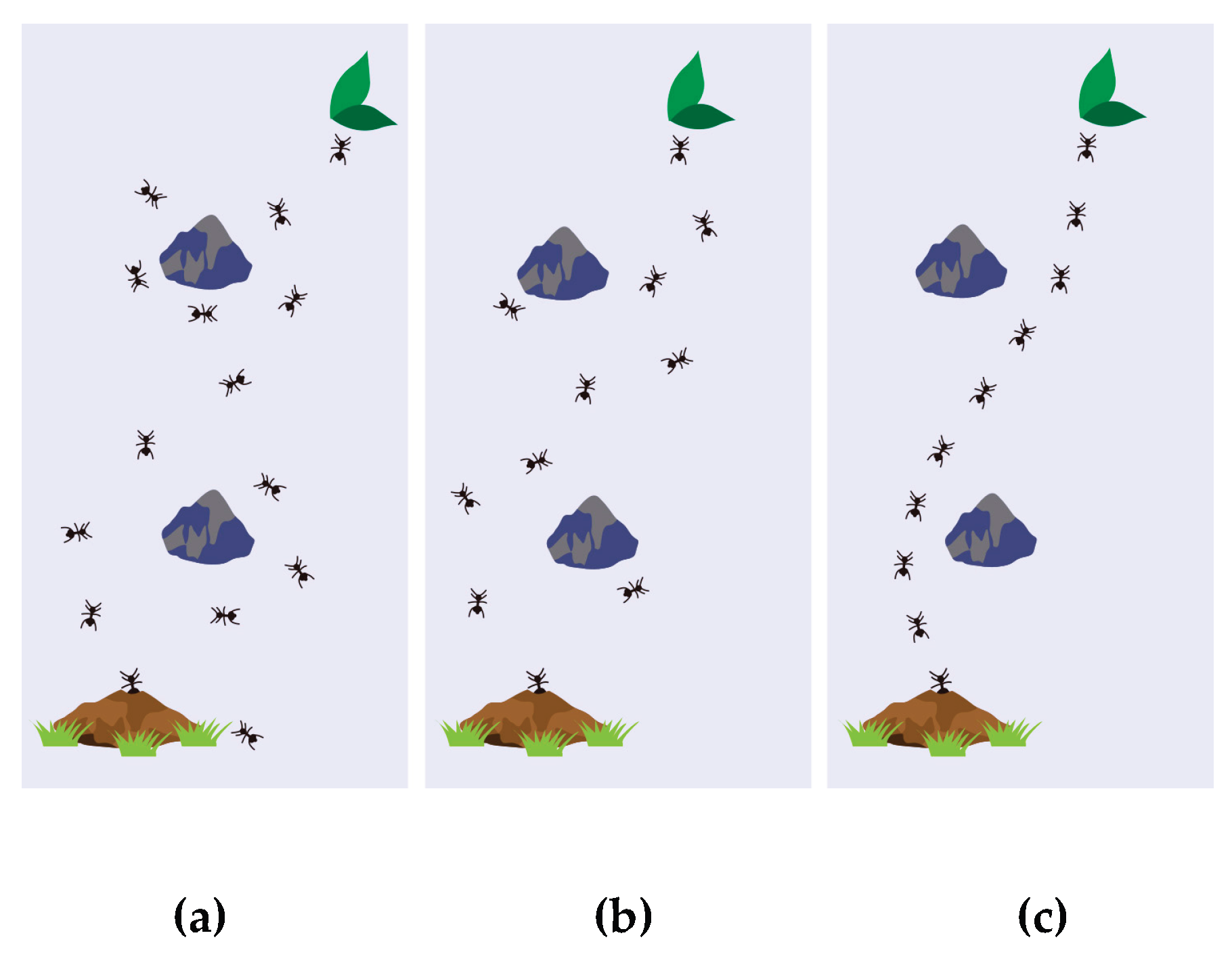Preprints 167277 g003