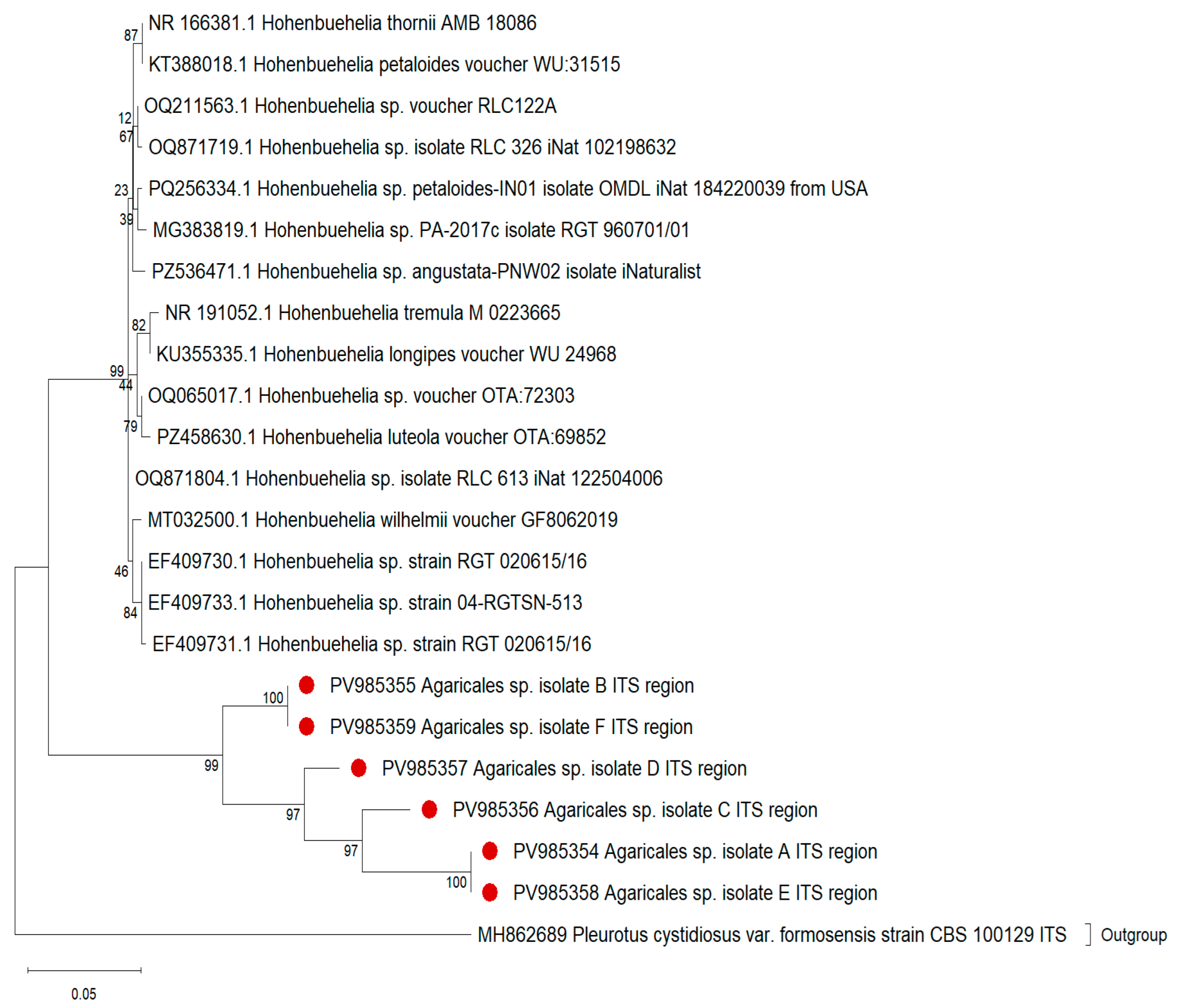 Preprints 237236 g005