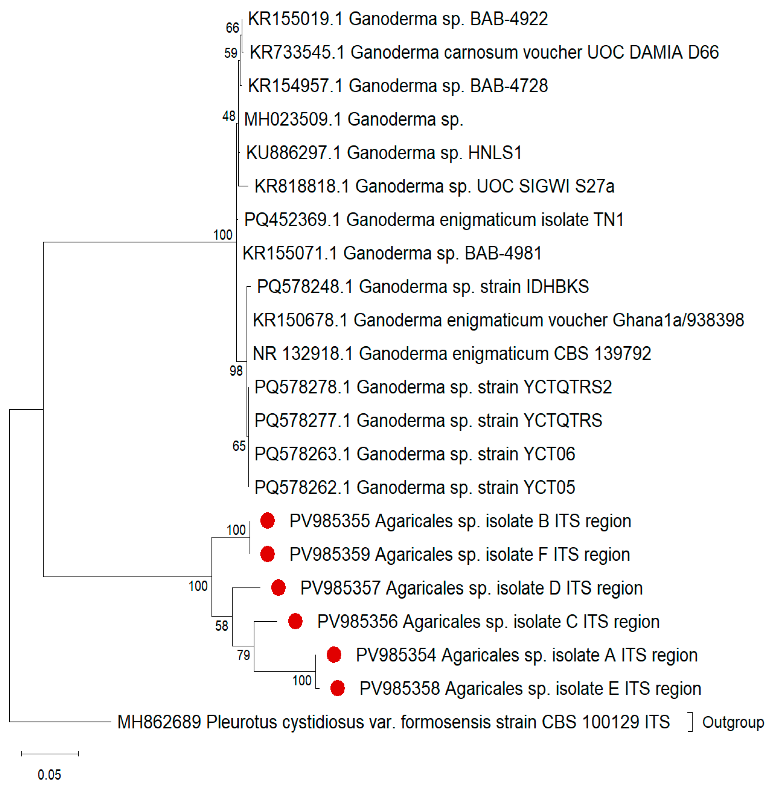 Preprints 237236 g006