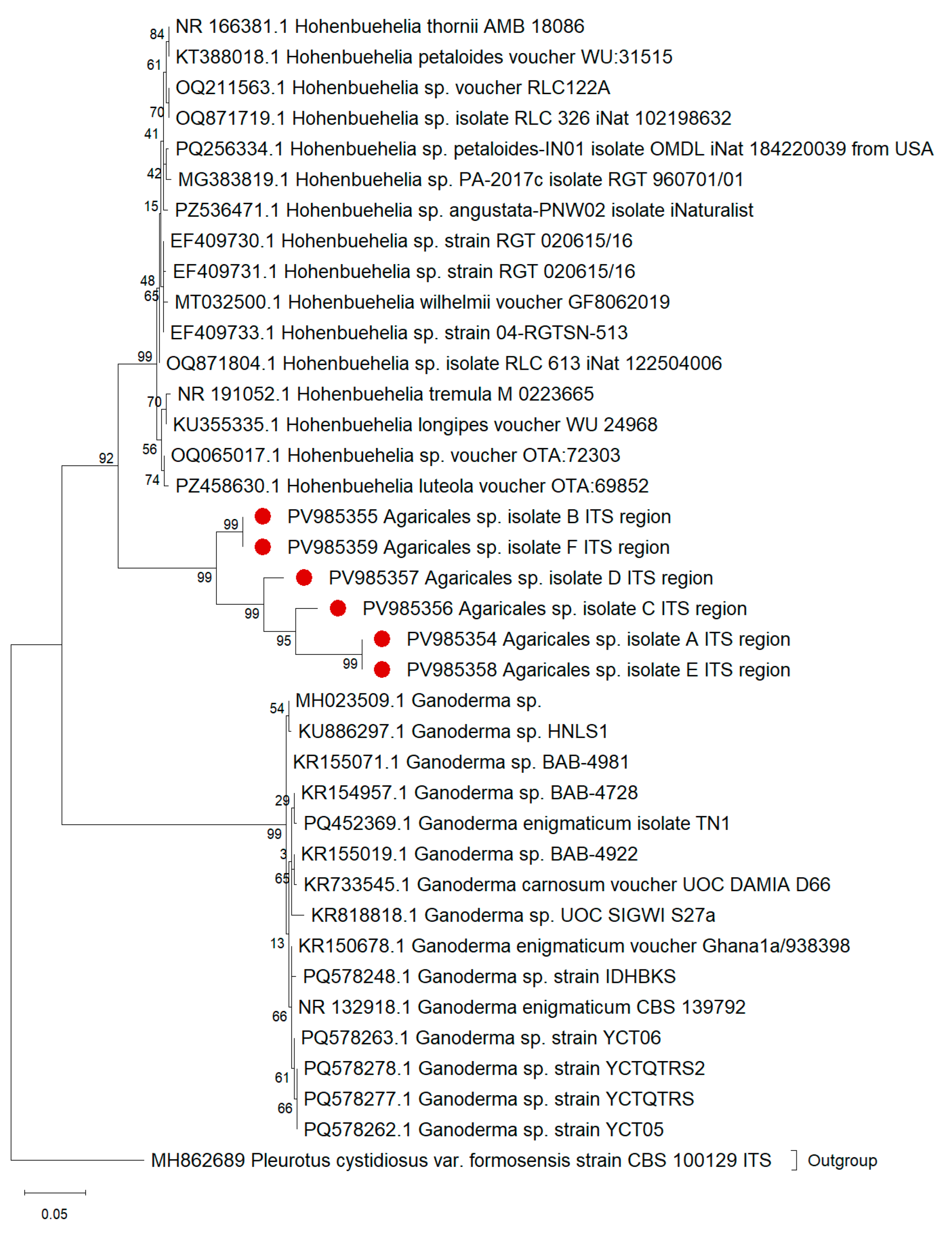 Preprints 237236 g007