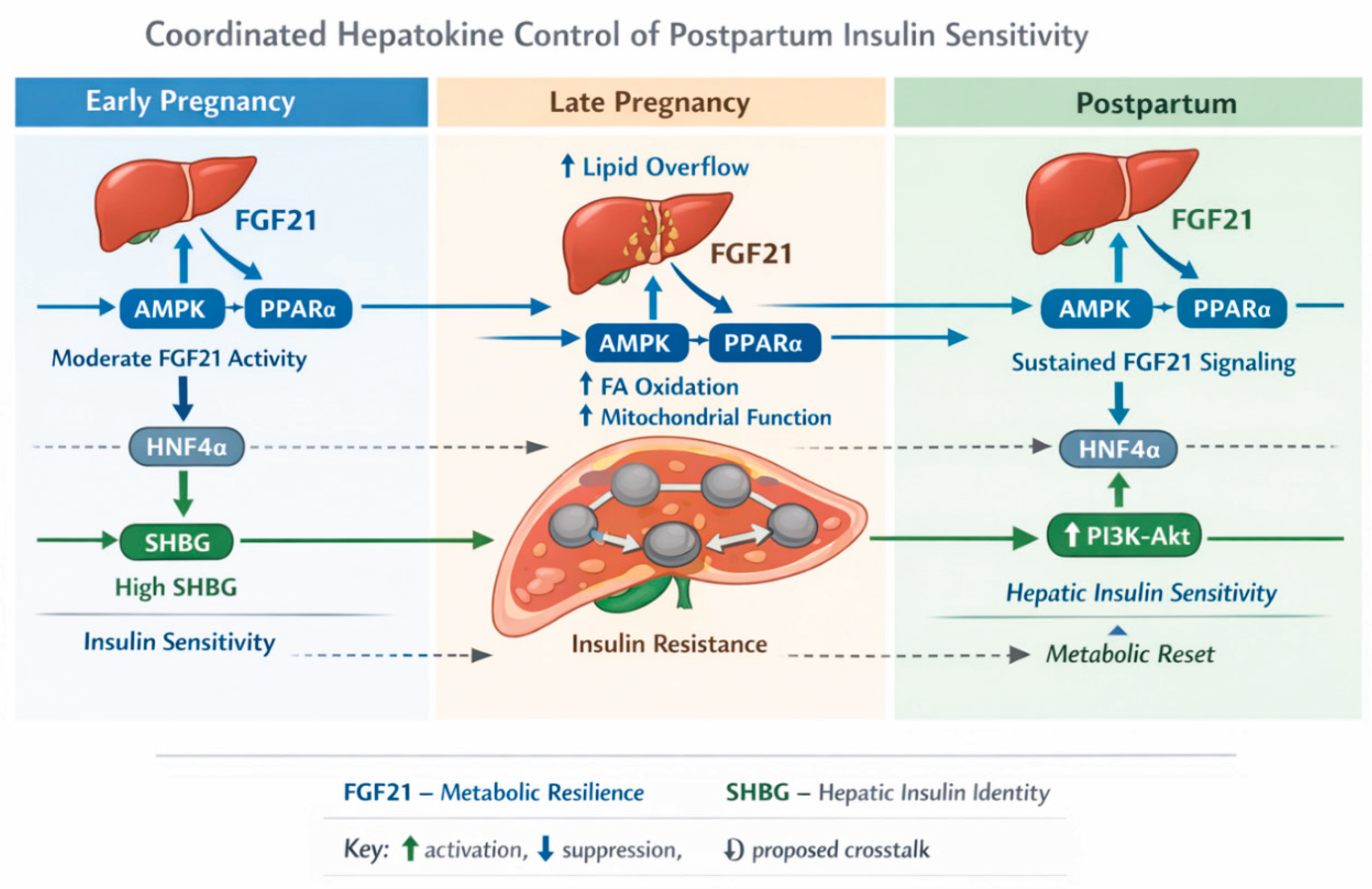 Preprints 216249 g001
