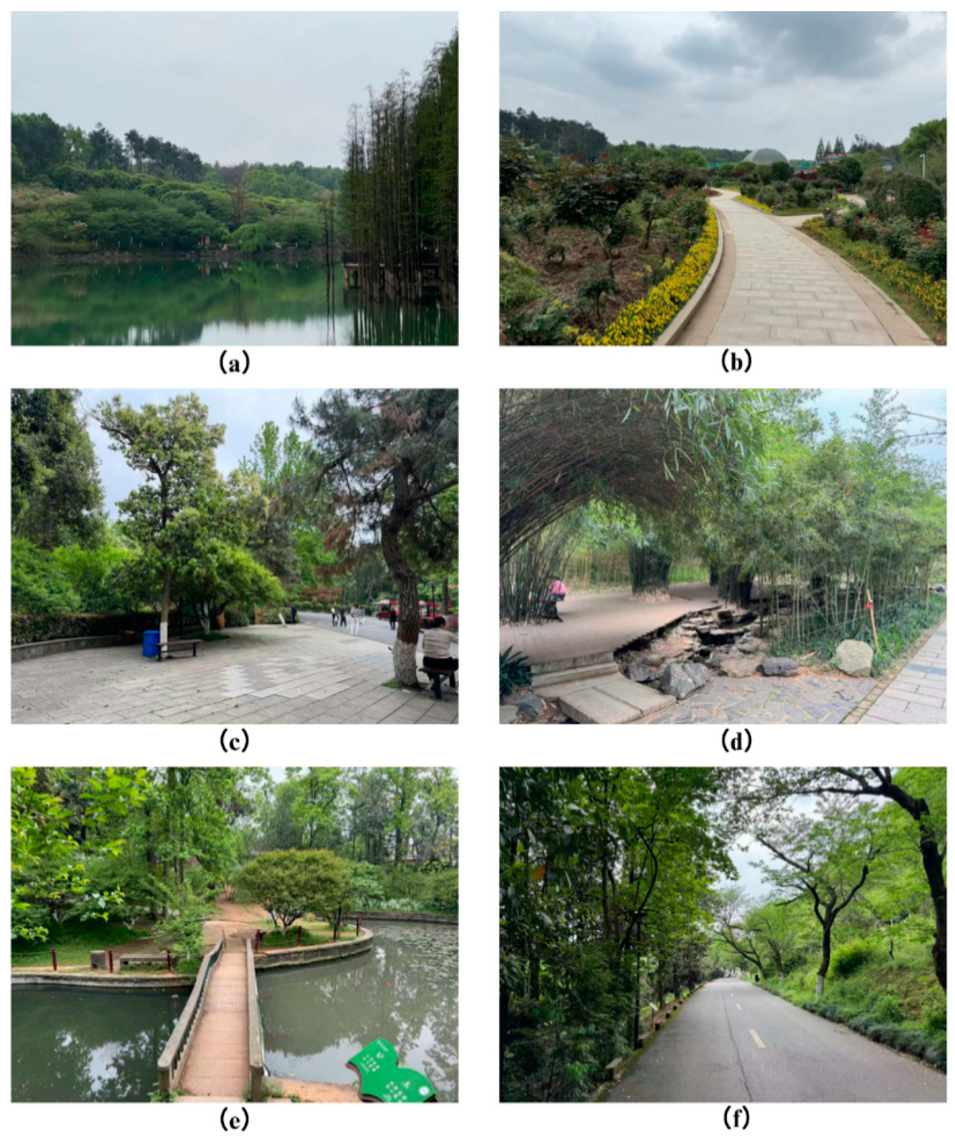 Preprints 140202 g003