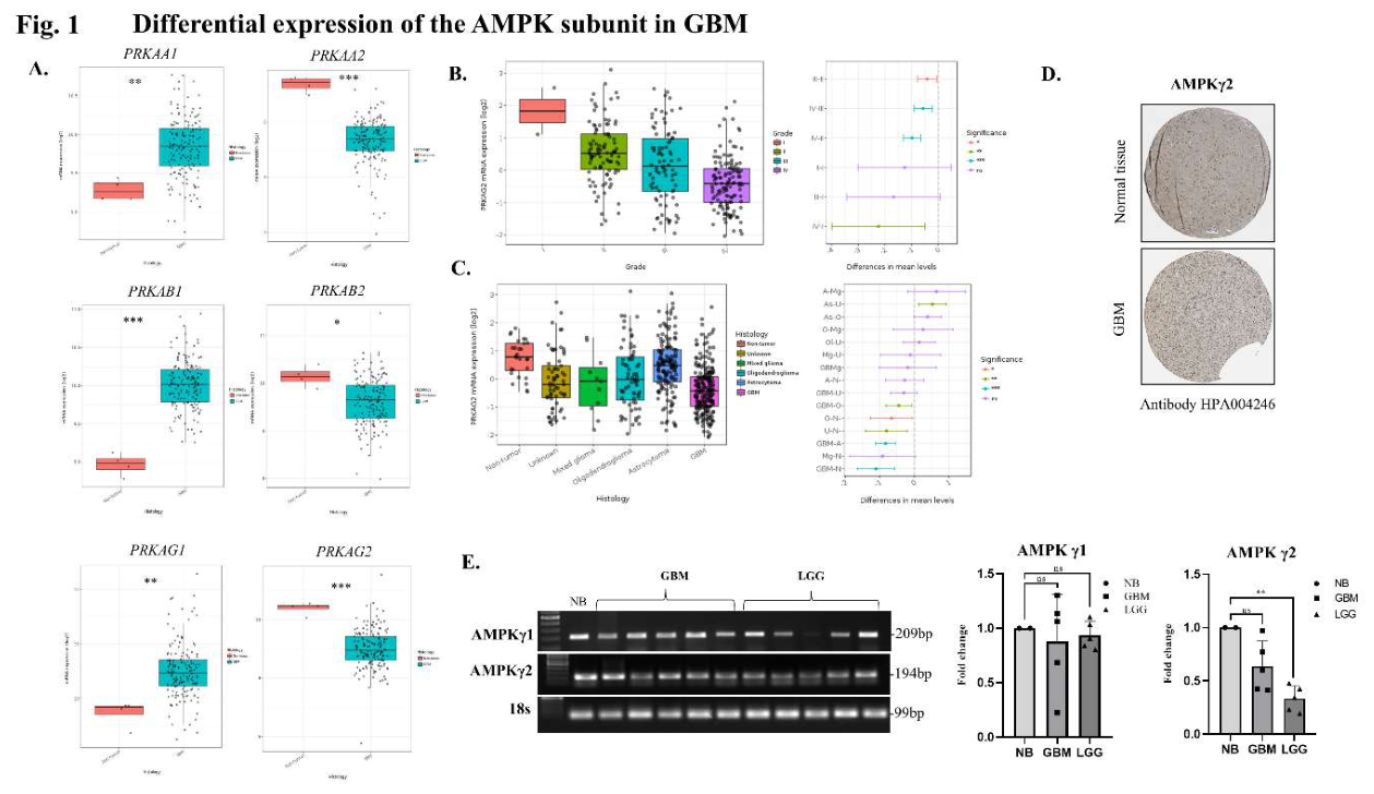 Preprints 214869 g001