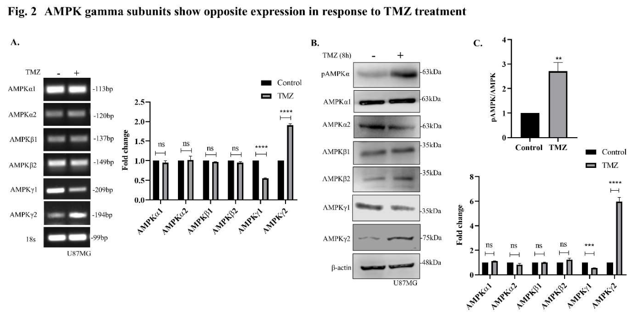 Preprints 214869 g002