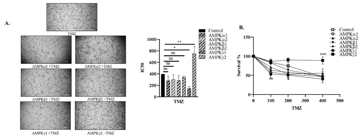Preprints 214869 g003