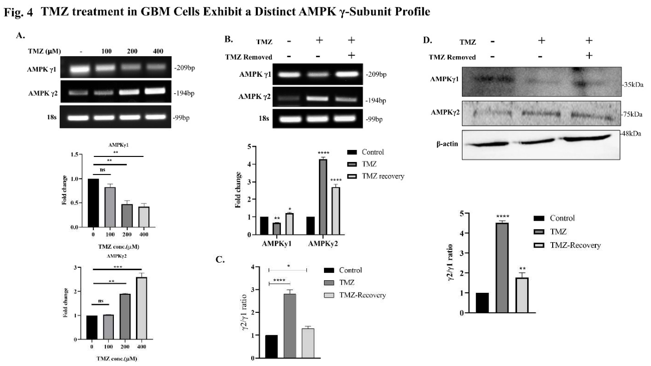 Preprints 214869 g004