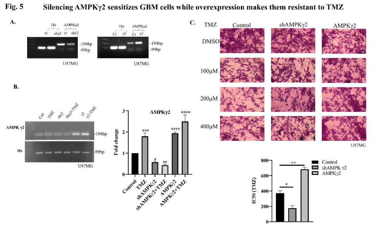 Preprints 214869 g005