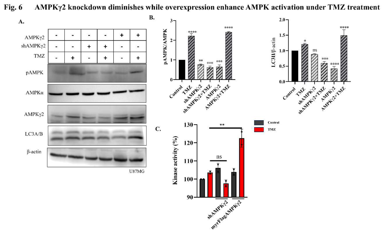 Preprints 214869 g006