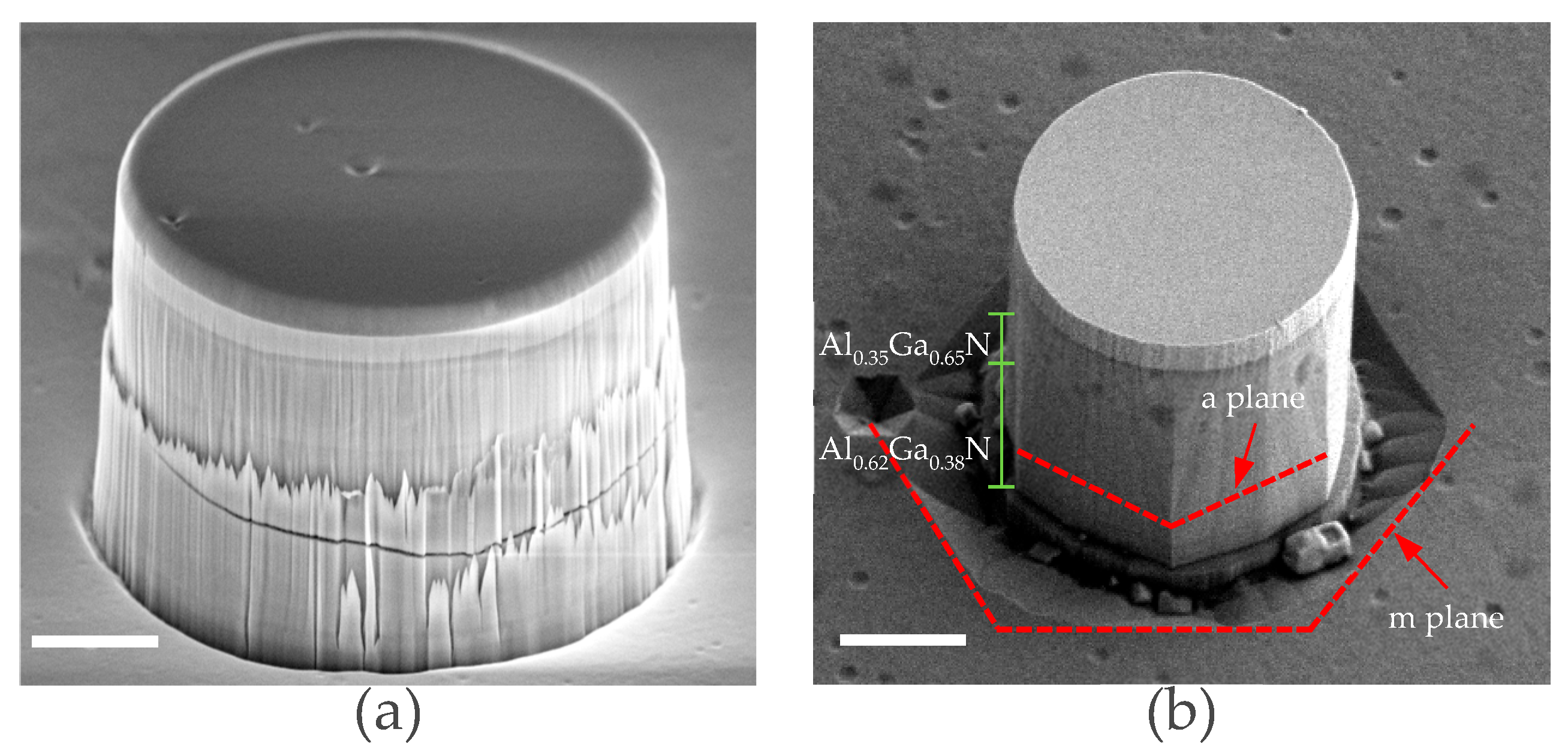 Preprints 198822 g002