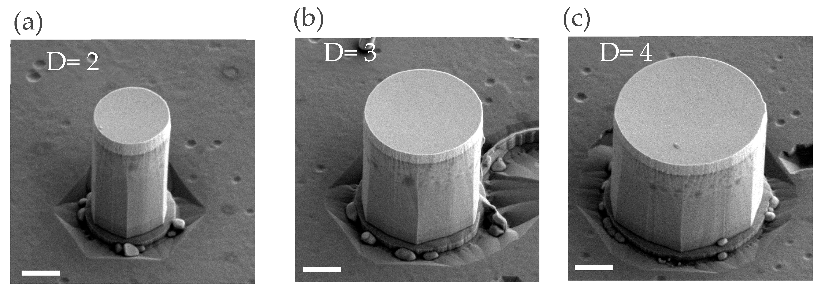 Preprints 198822 g003