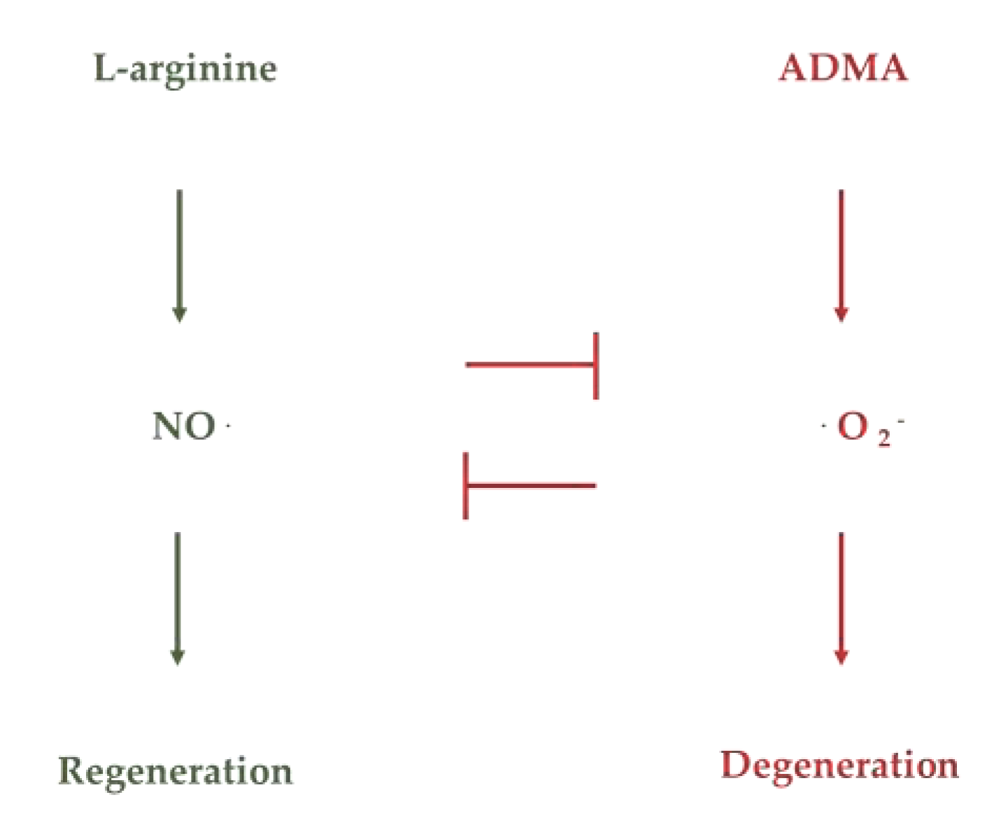 Preprints 83860 g001