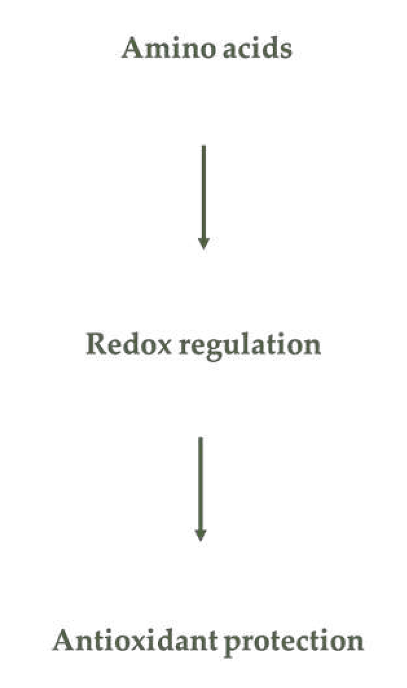 Preprints 83860 g004