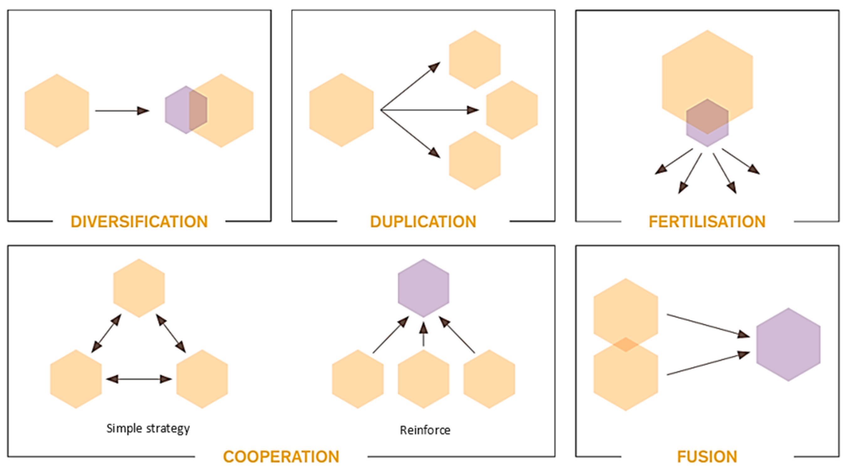 Preprints 142900 g003