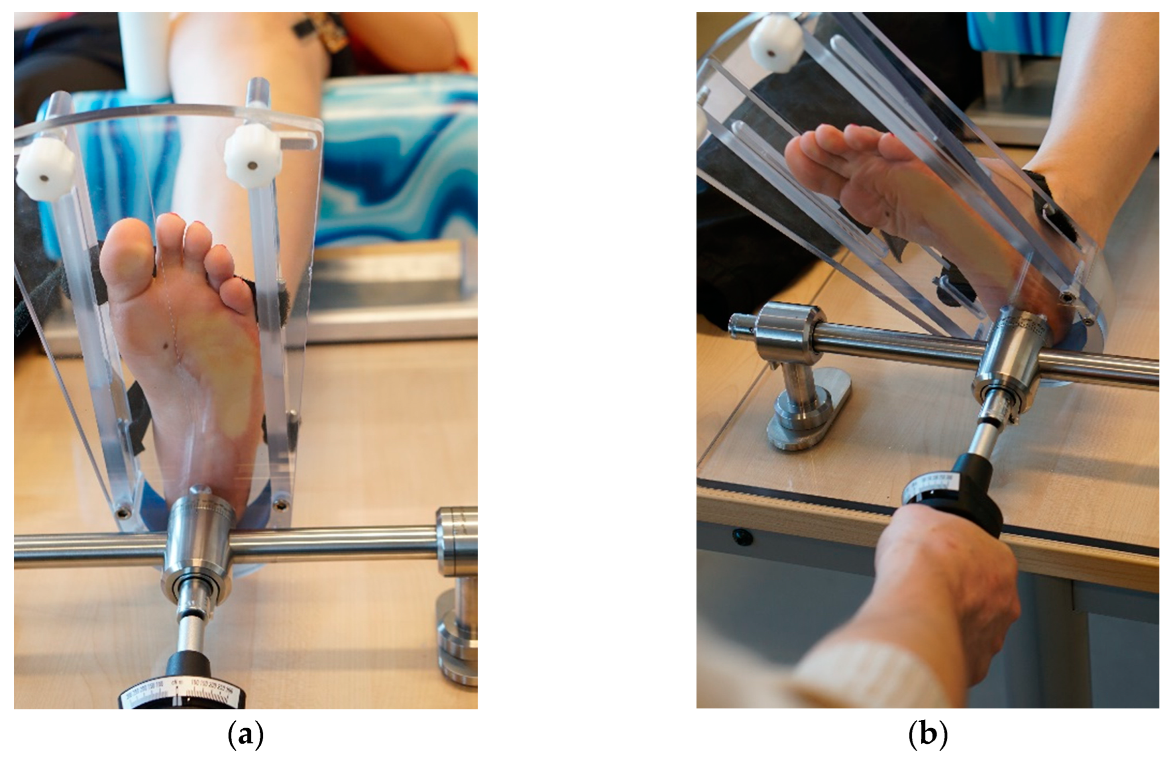 Preprints 87267 g002