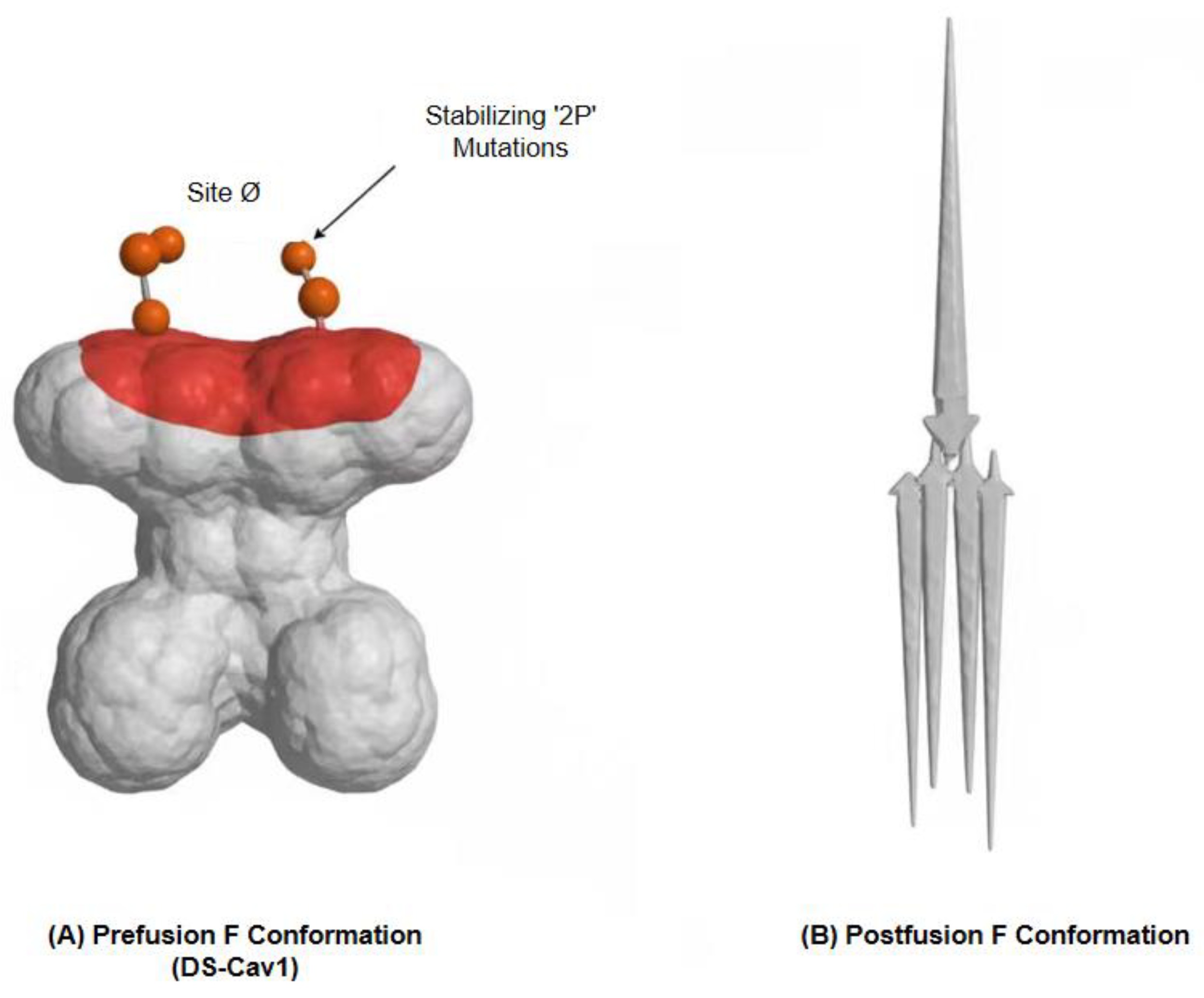 Preprints 183453 g002