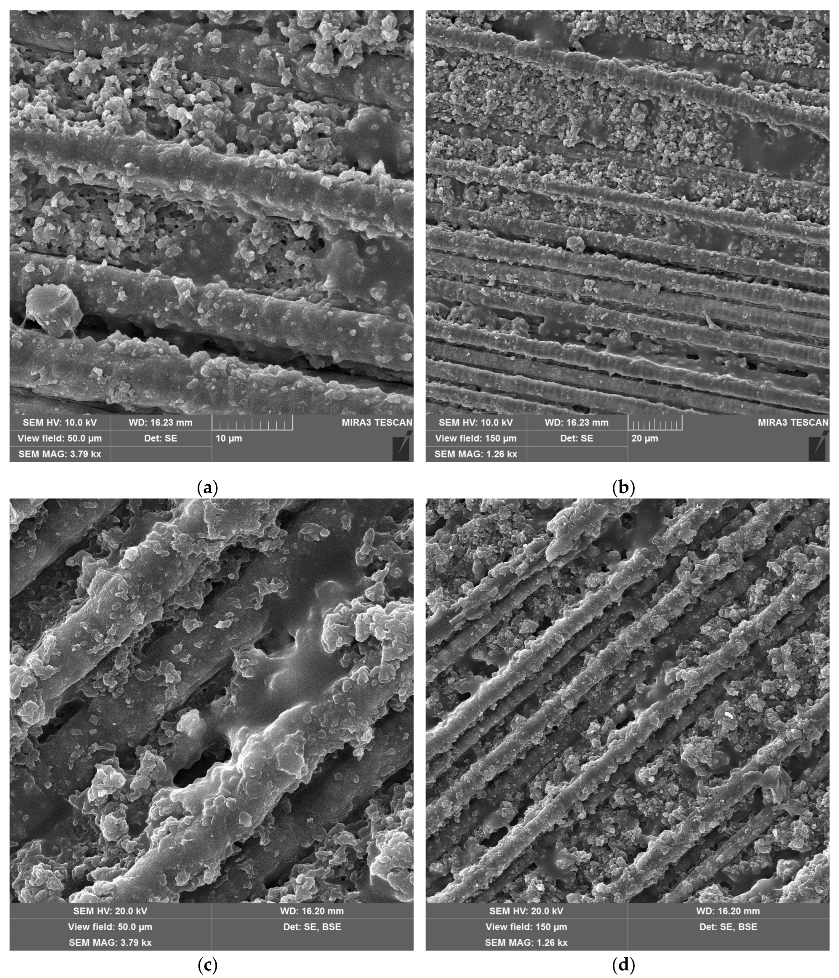 Preprints 177412 g010