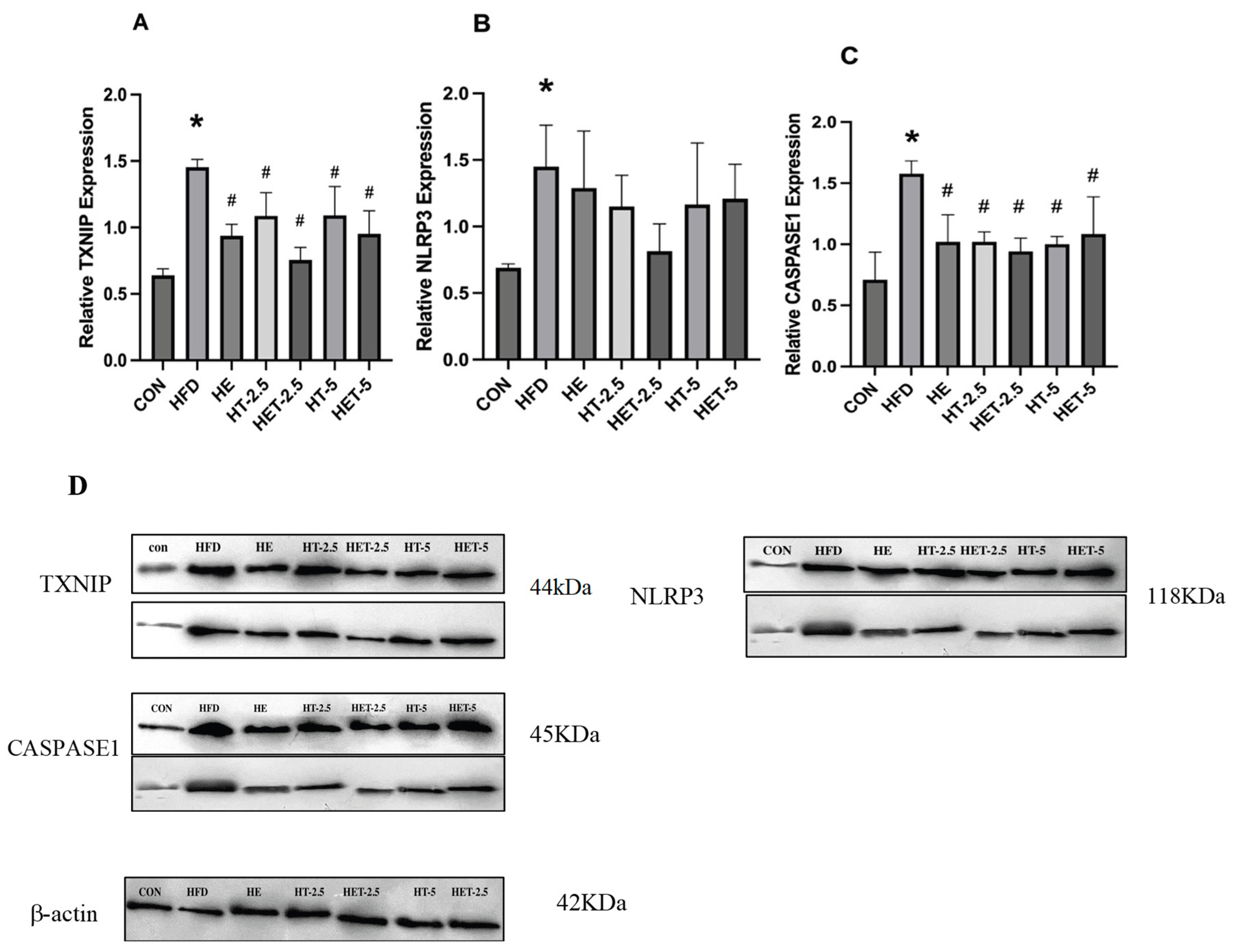 Preprints 226363 g004 Preprints 226363 g004