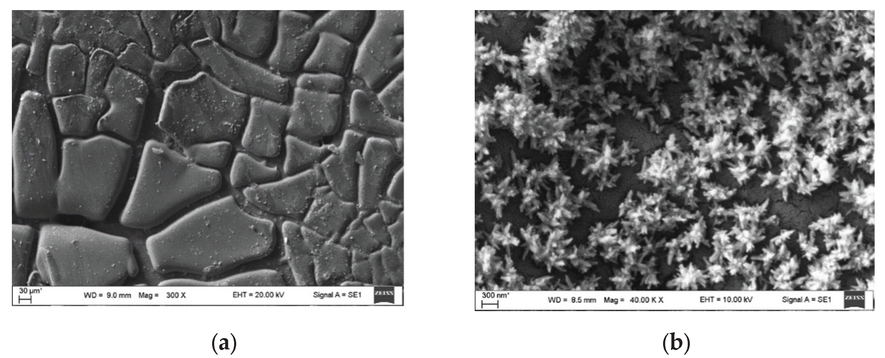 Preprints 173082 g005