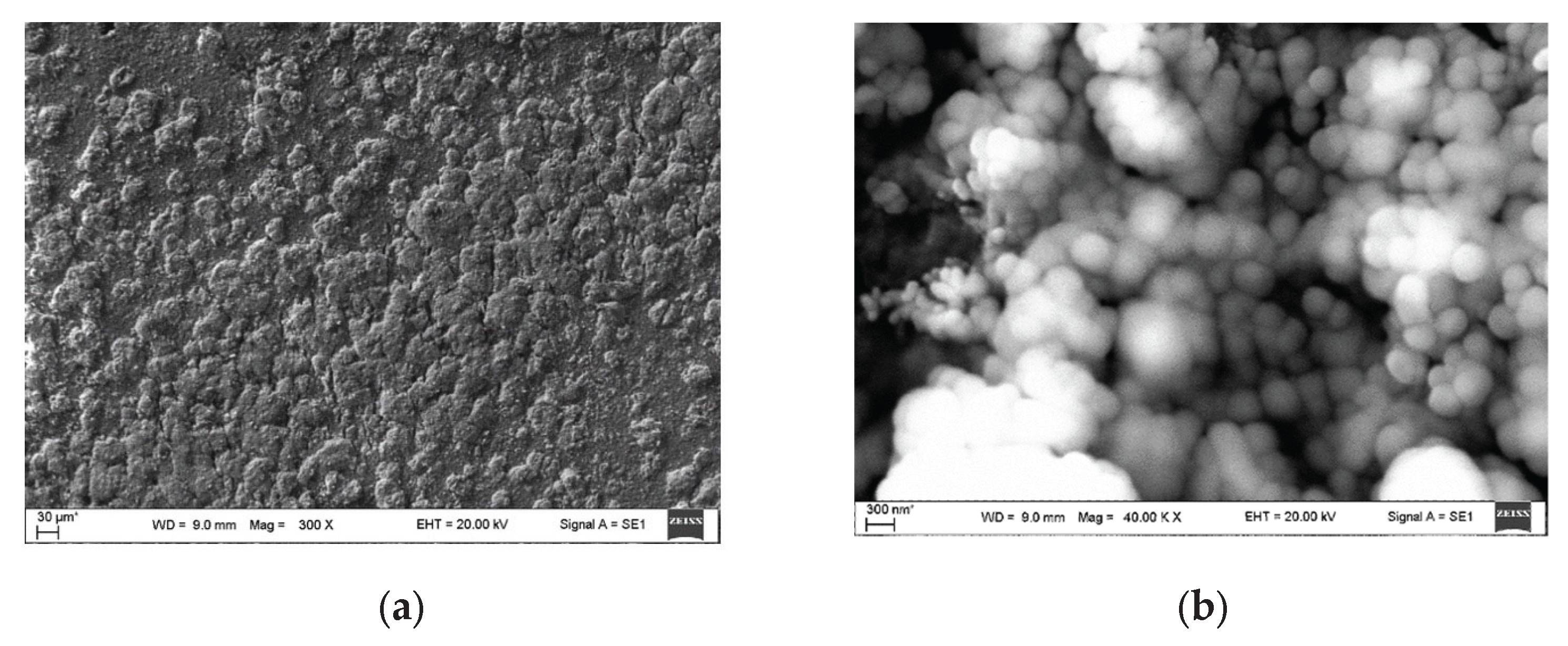 Preprints 173082 g009