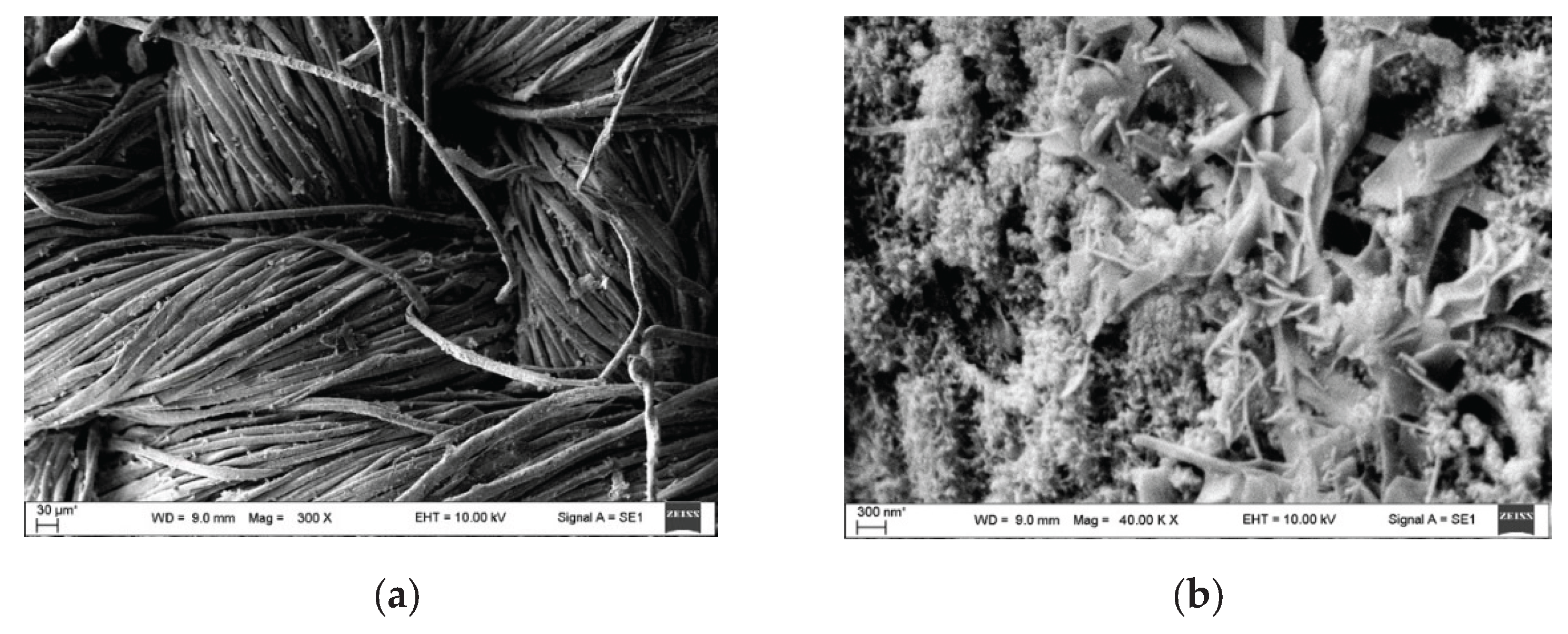 Preprints 173082 g013