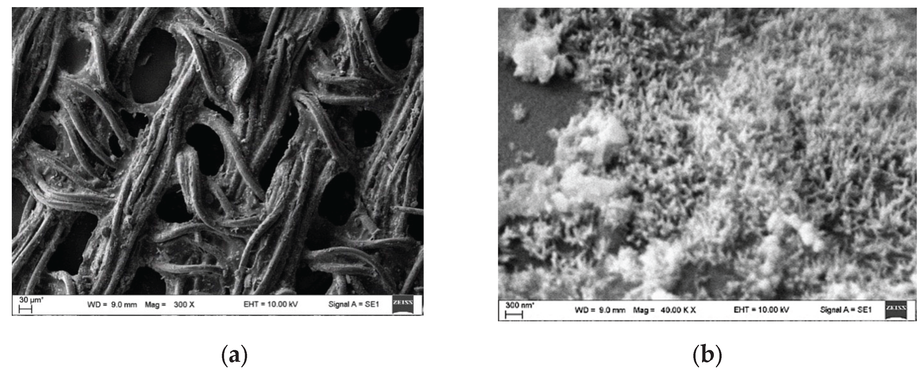 Preprints 173082 g017