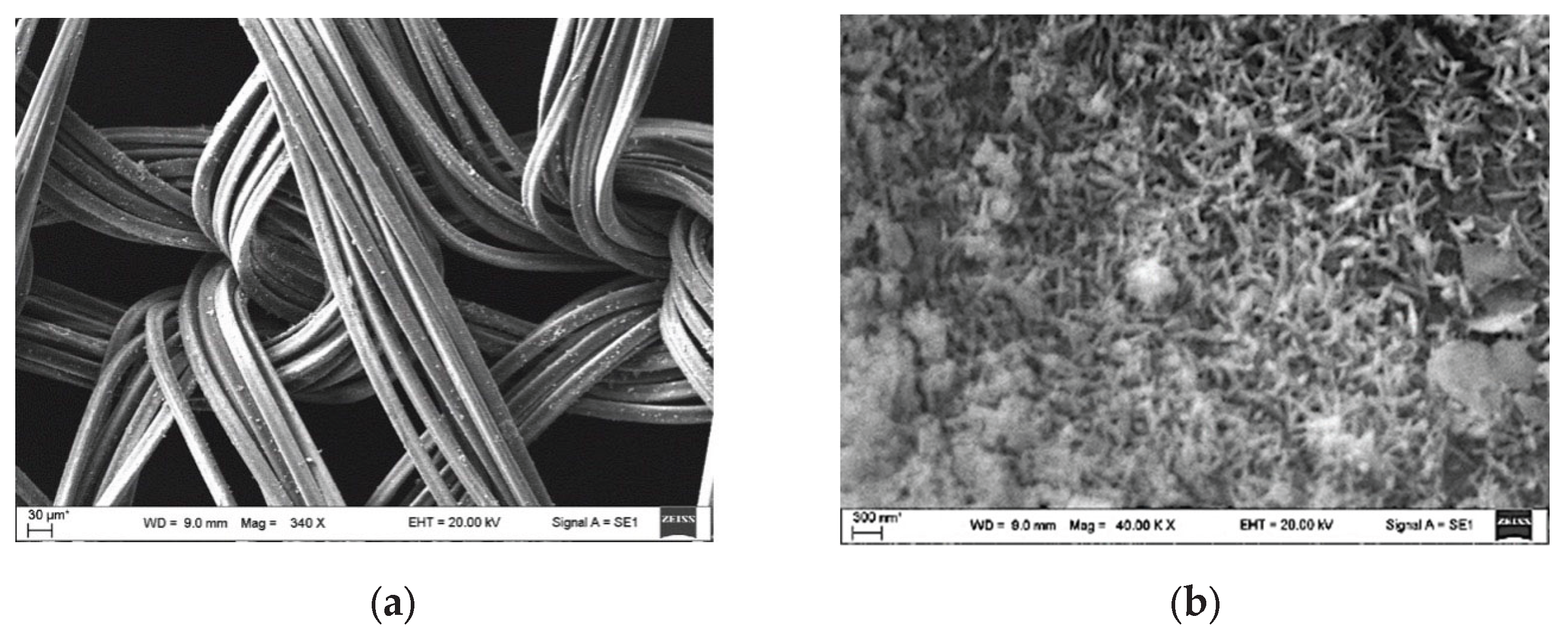 Preprints 173082 g021