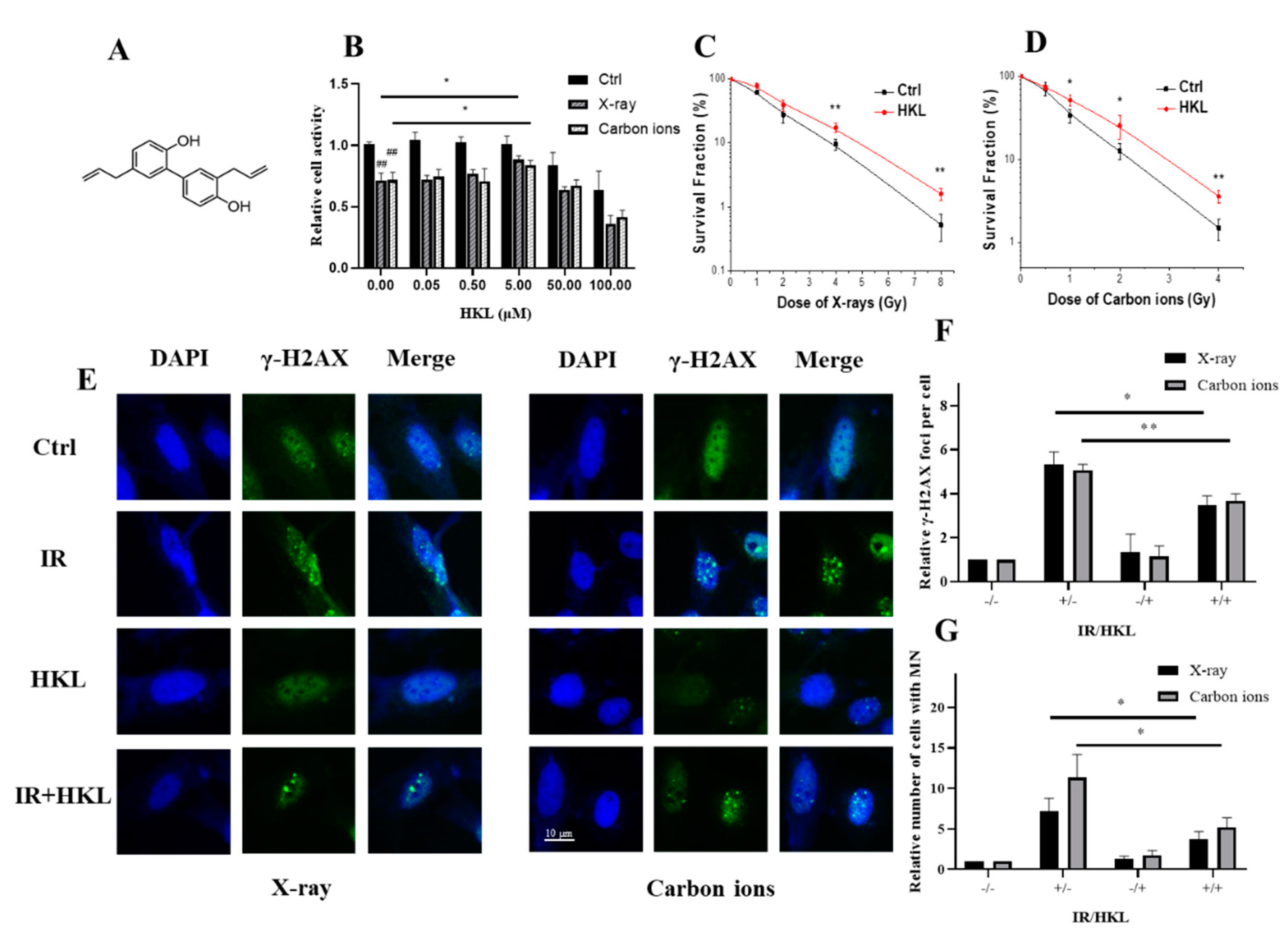 Preprints 150191 g001