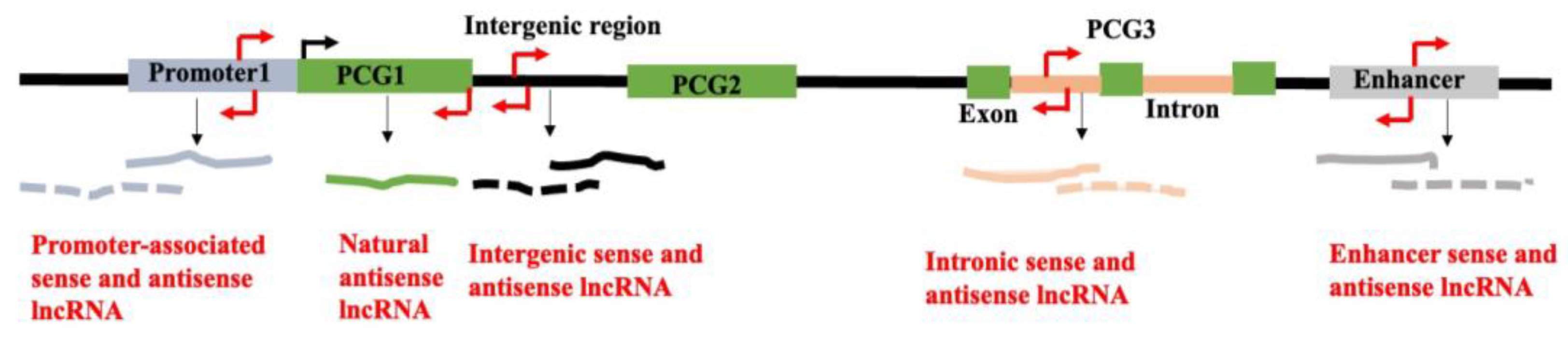Preprints 161351 g002