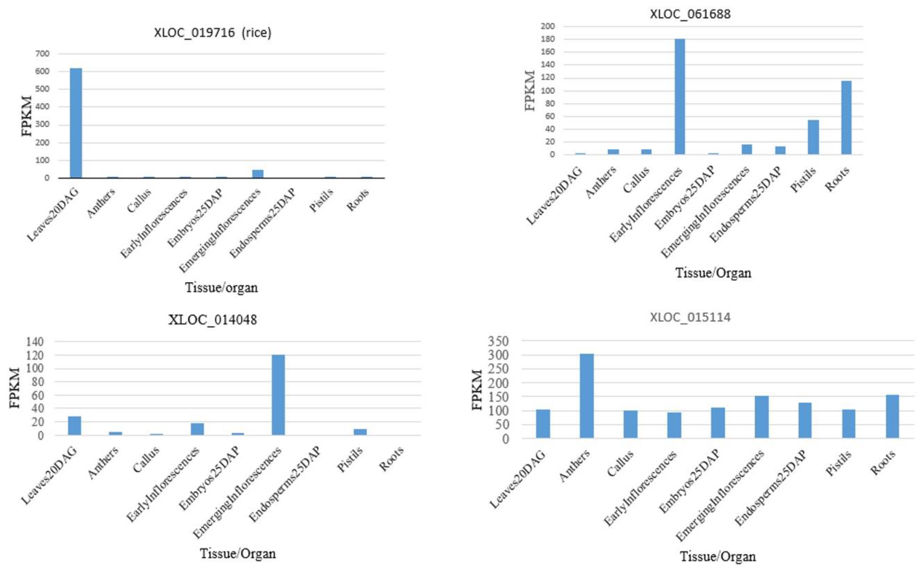 Preprints 161351 g004