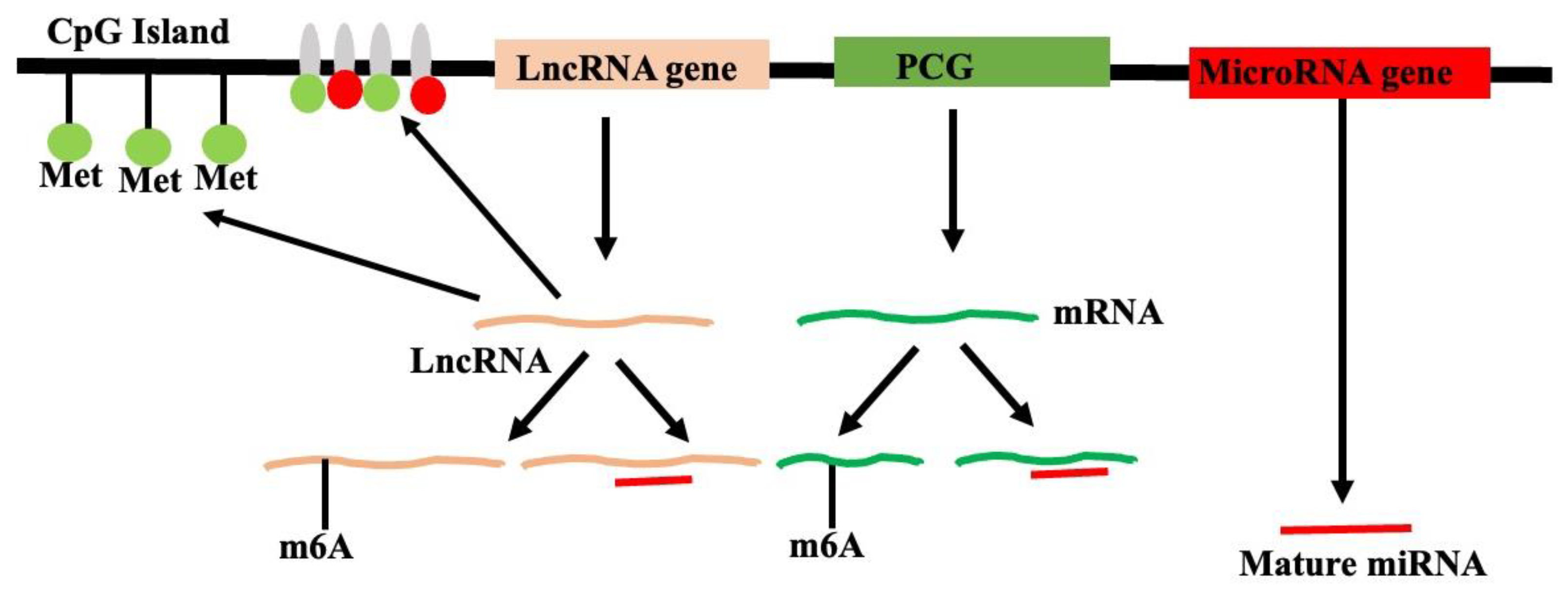 Preprints 161351 g005