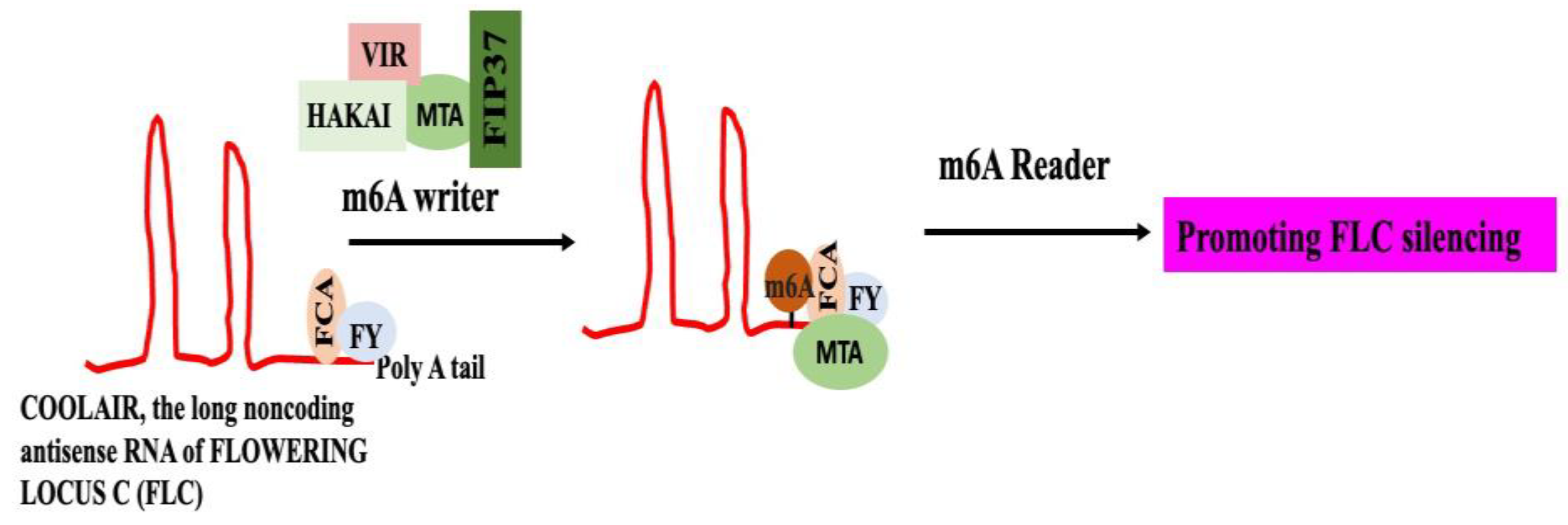 Preprints 161351 g007