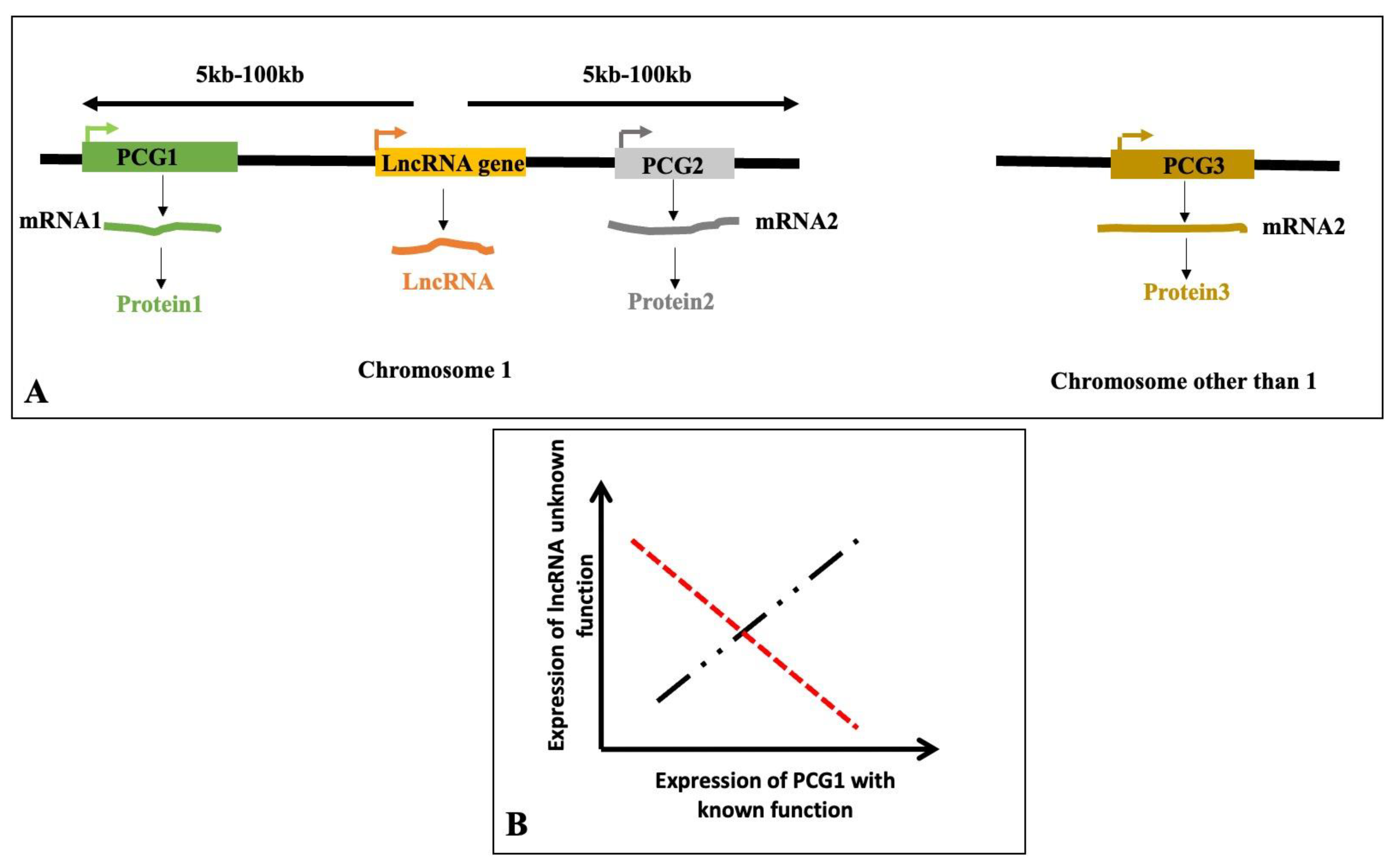 Preprints 161351 g008