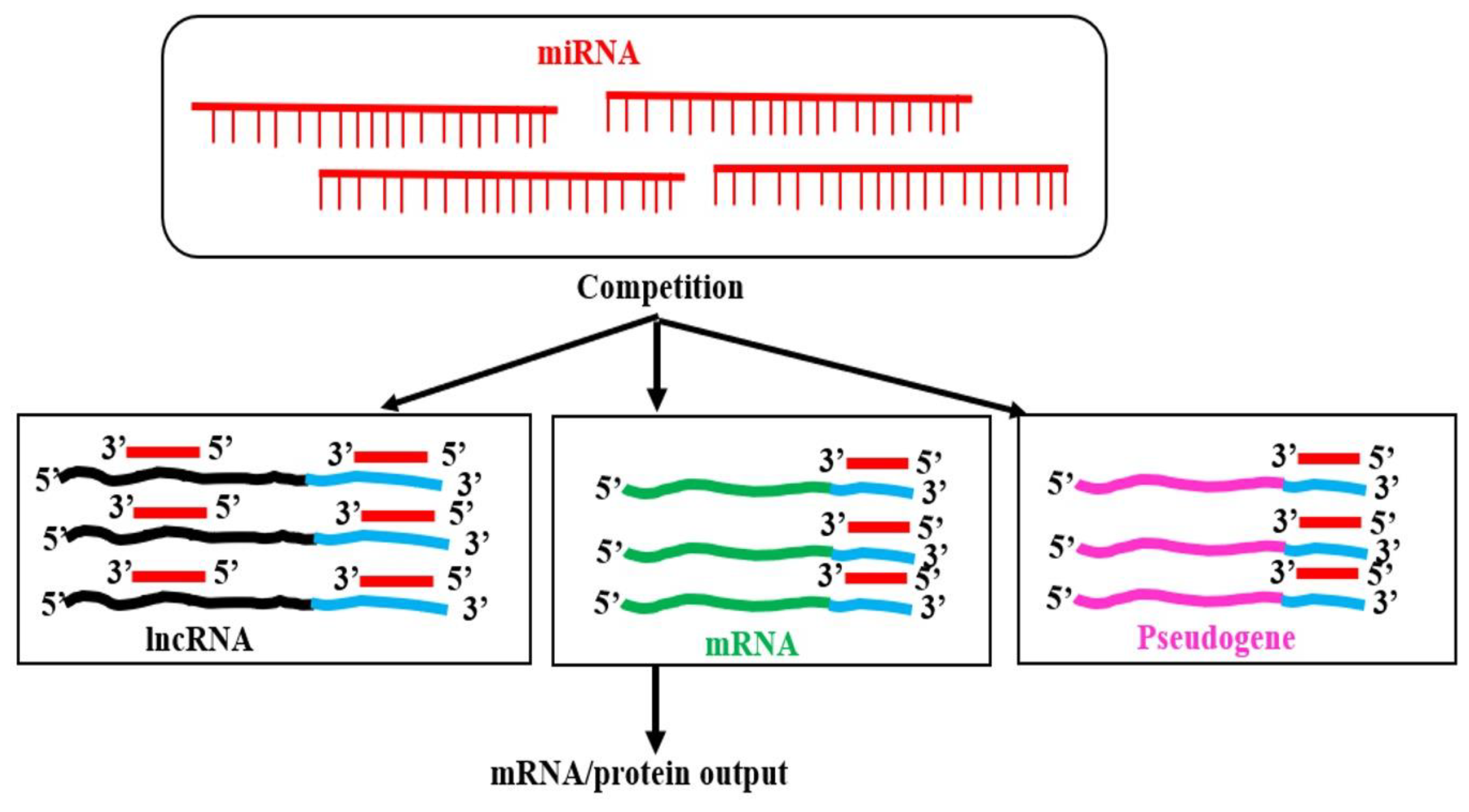 Preprints 161351 g012