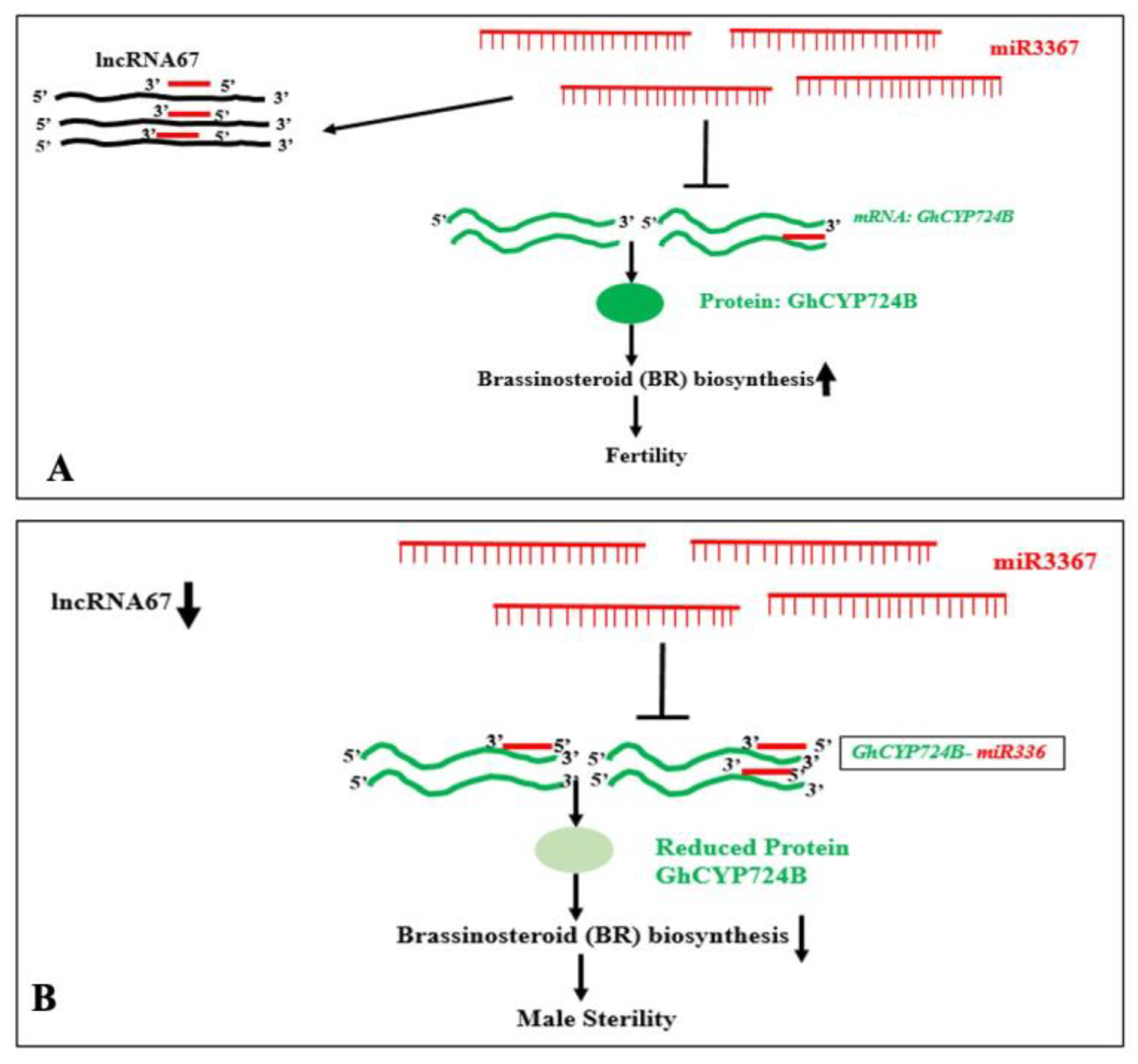 Preprints 161351 g013