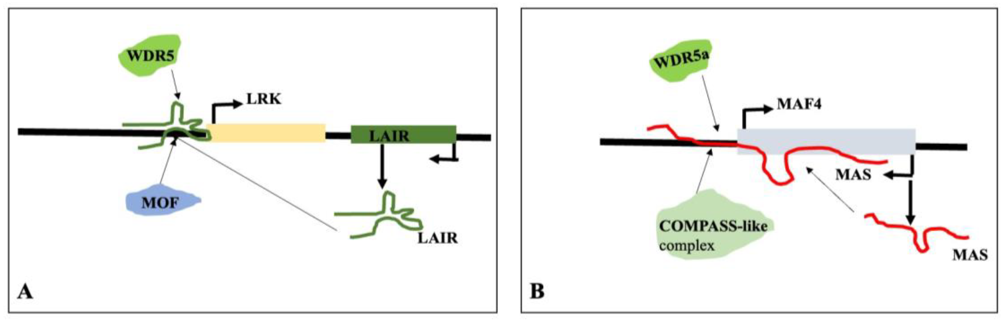 Preprints 161351 g014