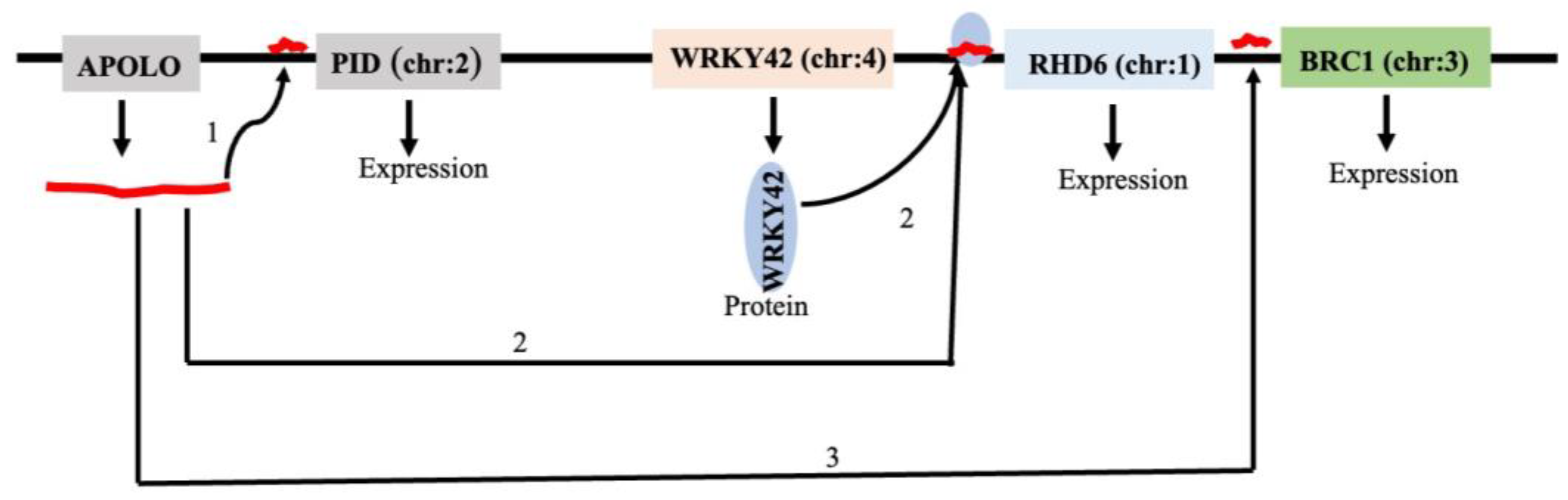 Preprints 161351 g015