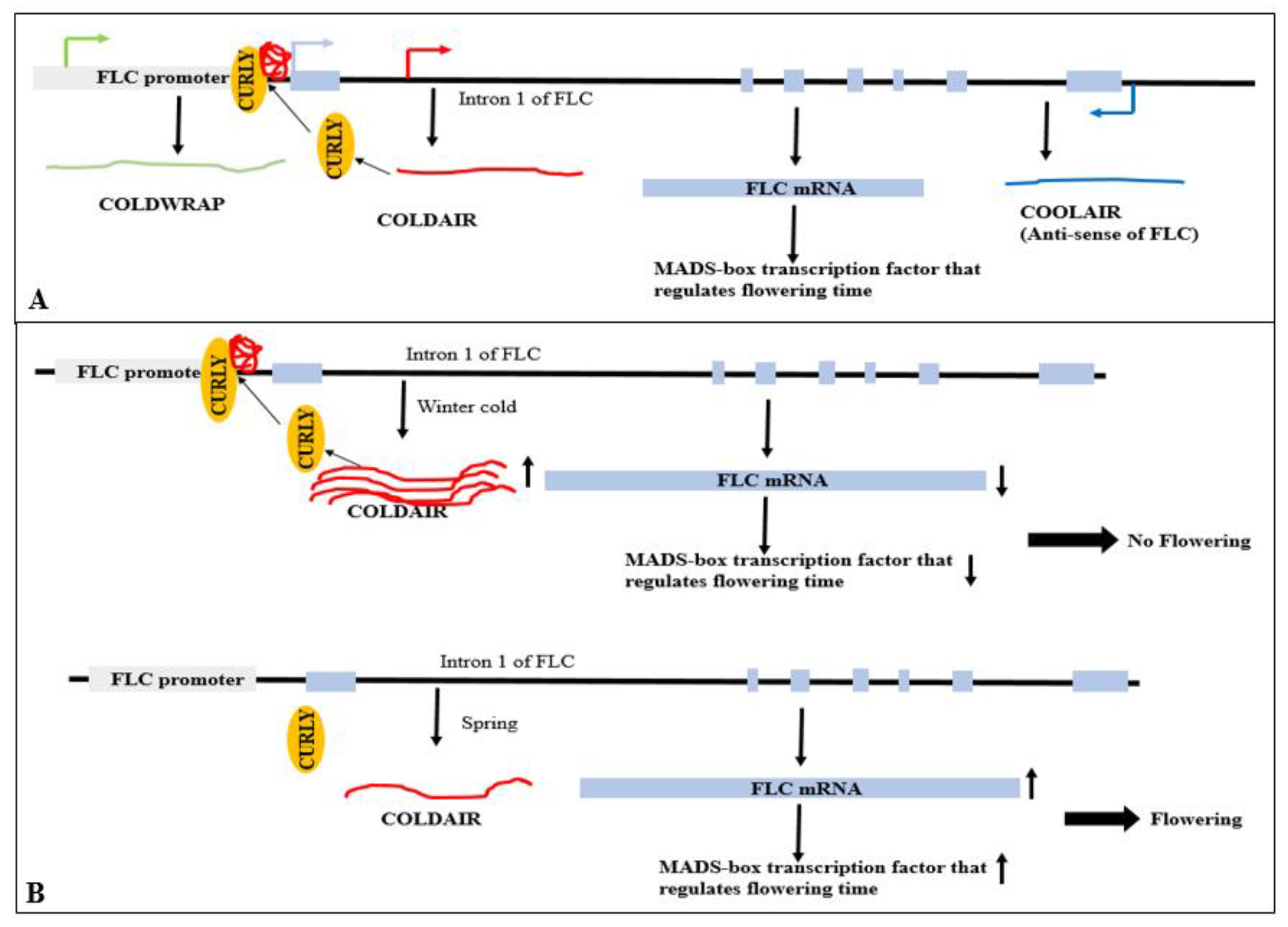 Preprints 161351 g016