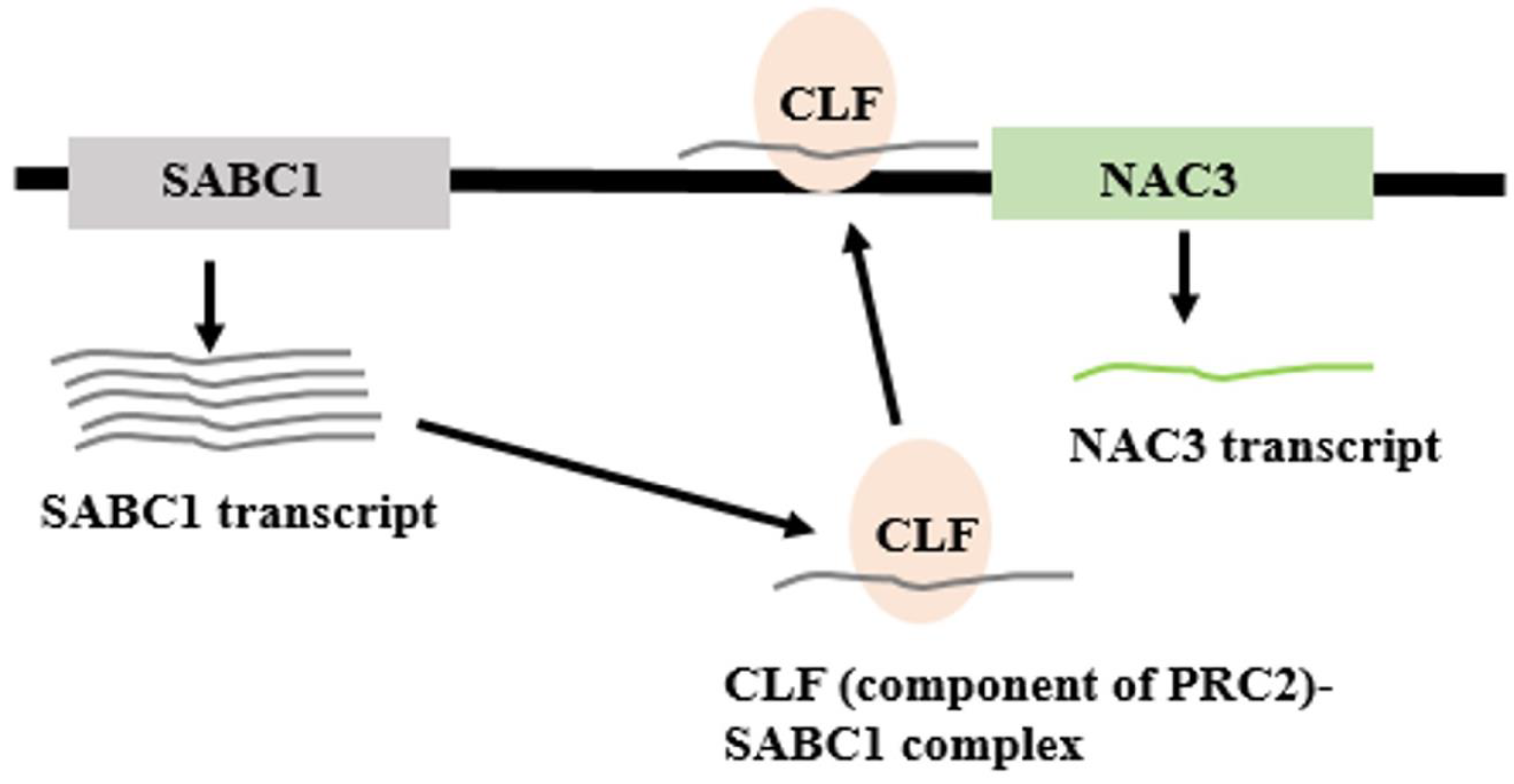 Preprints 161351 g017