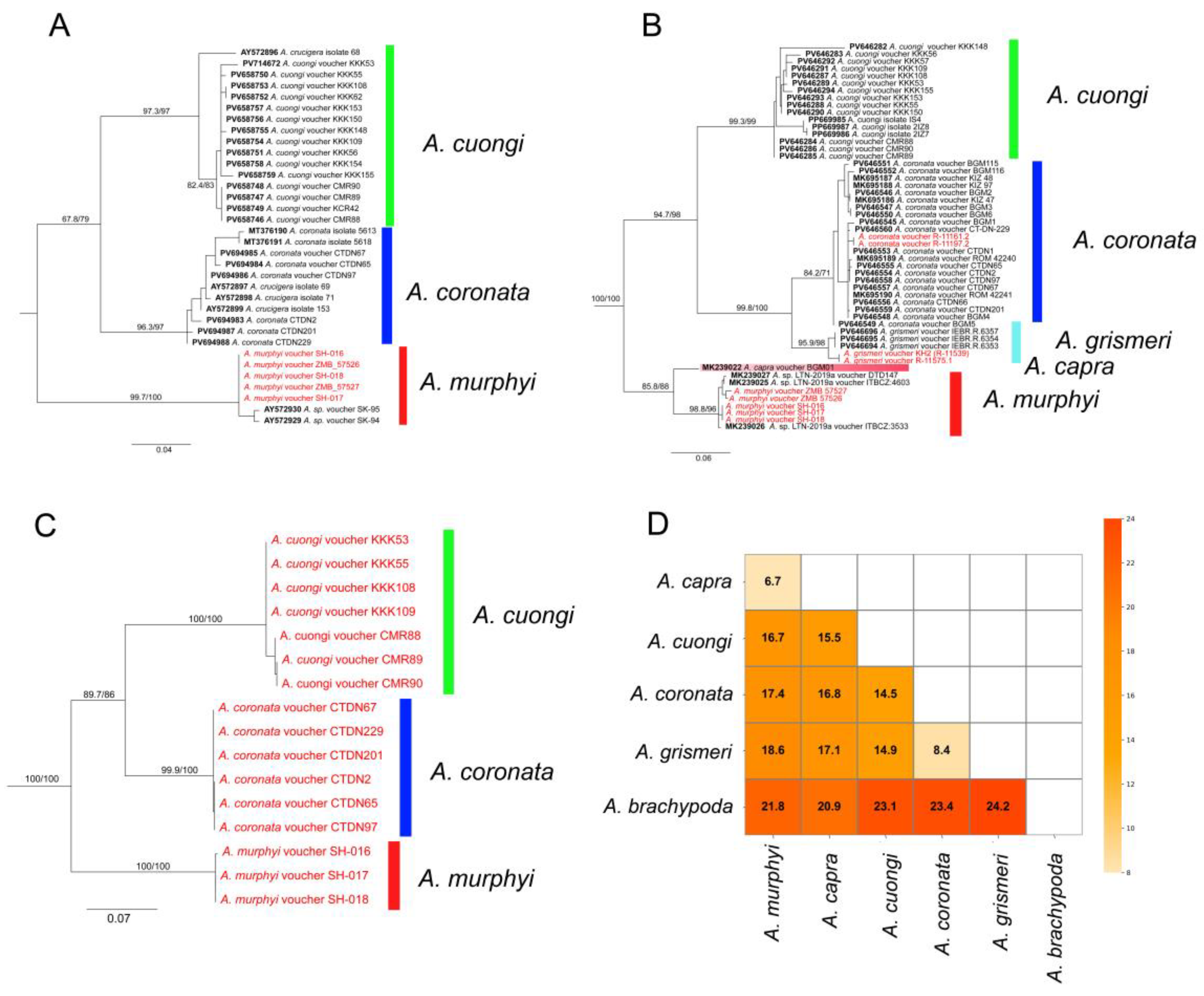 Preprints 203418 g001