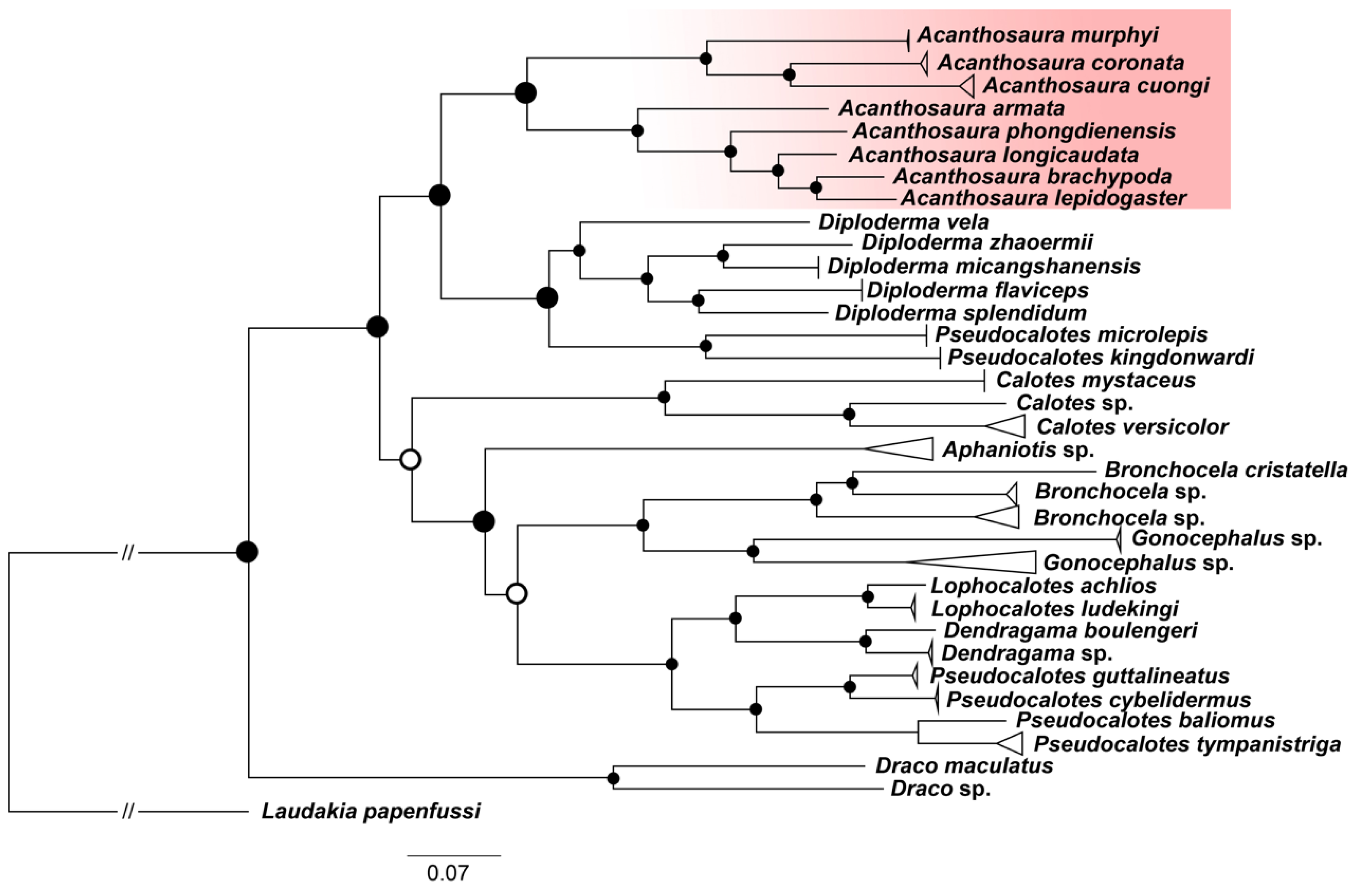 Preprints 203418 g002