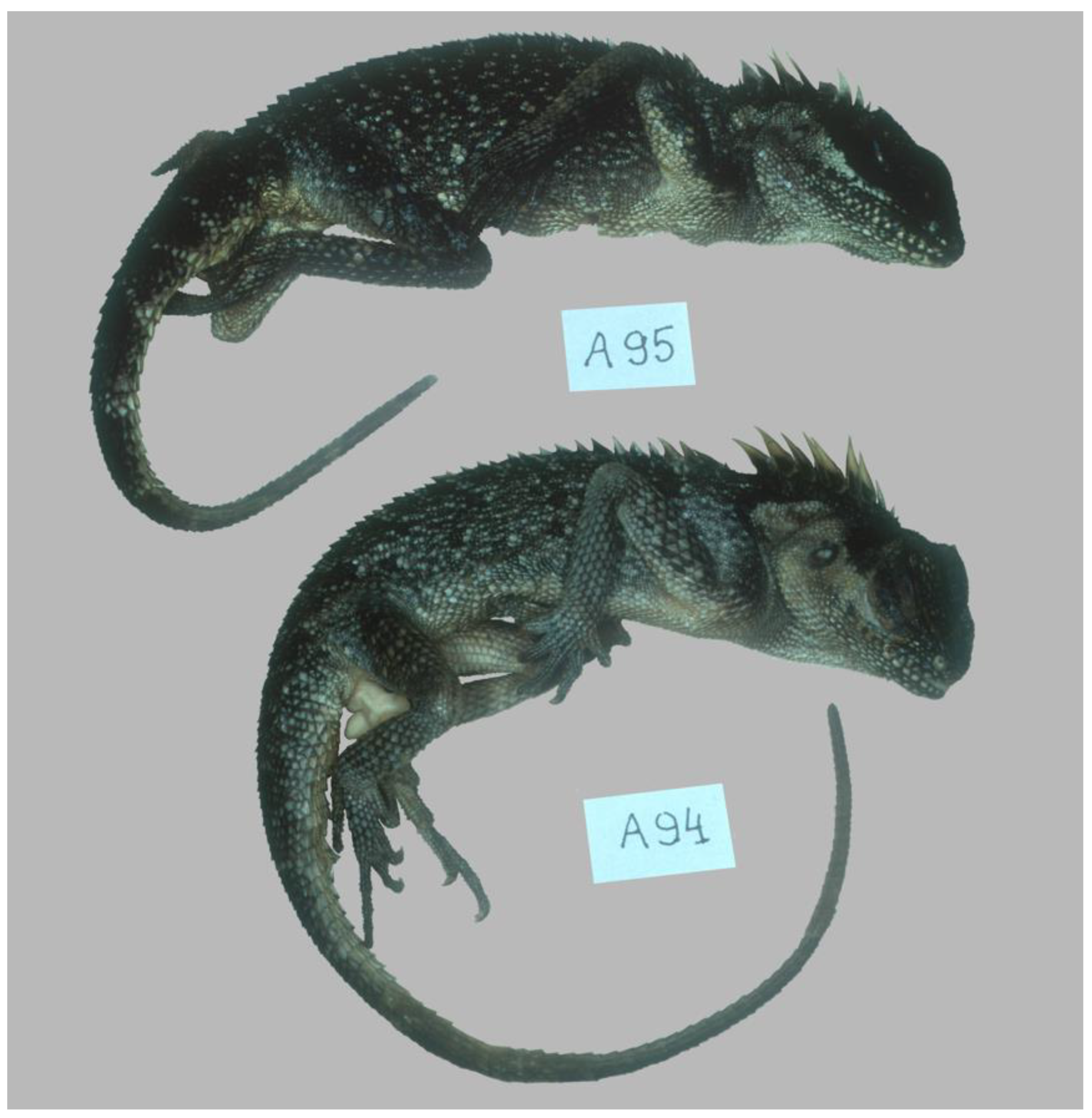 Preprints 203418 g003