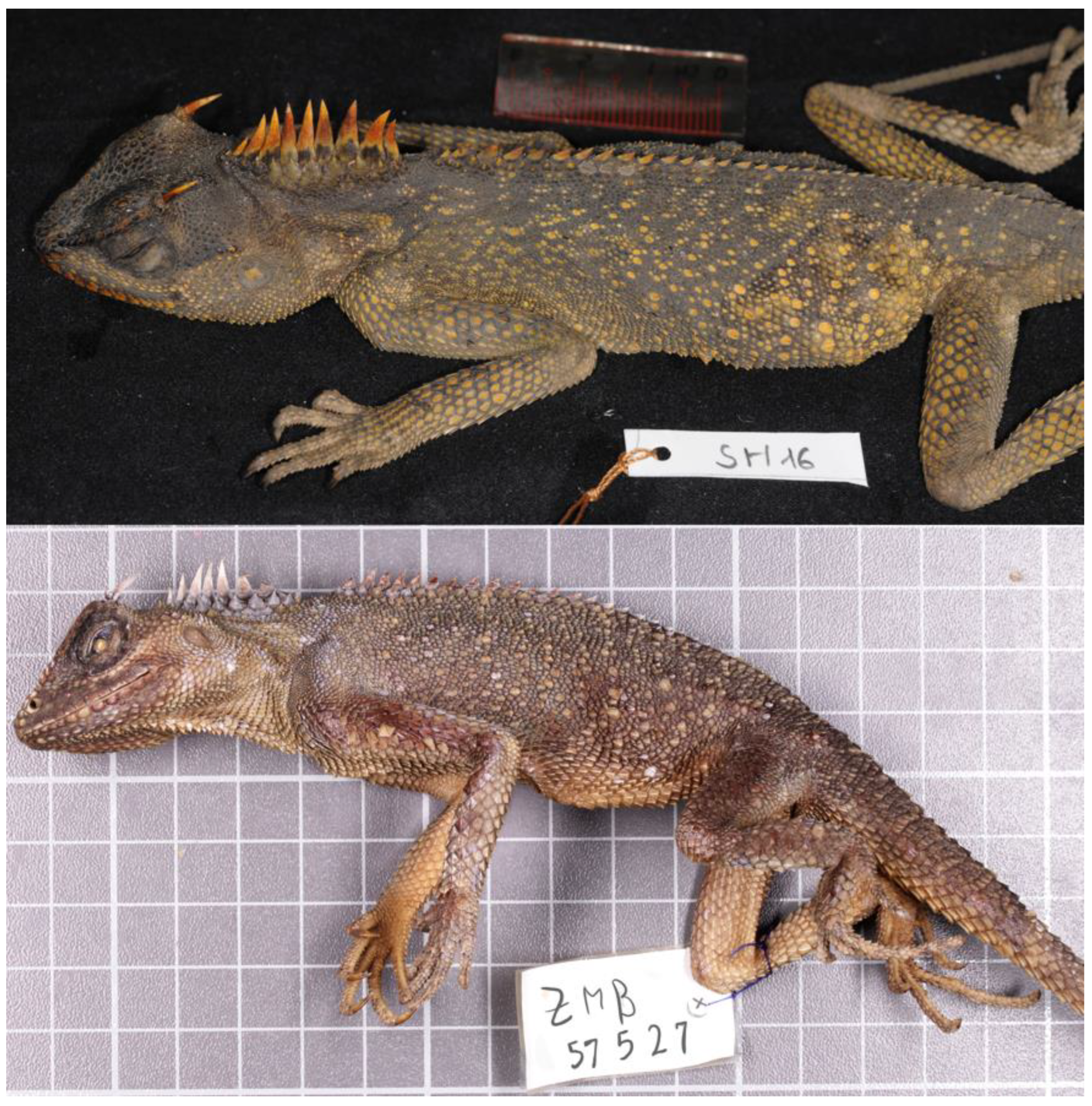 Preprints 203418 g005
