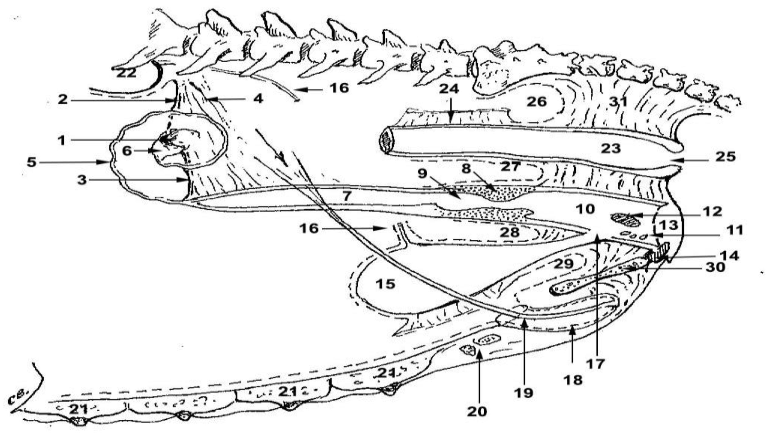 Preprints 145655 g001