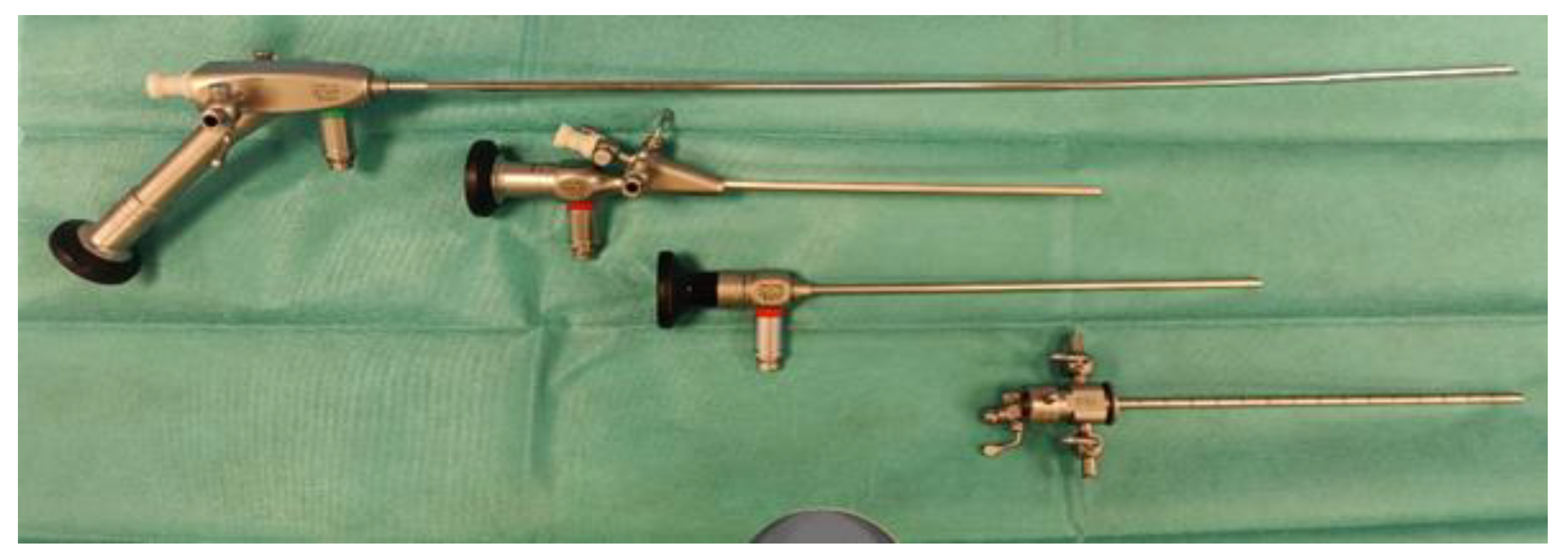 Preprints 145655 g002