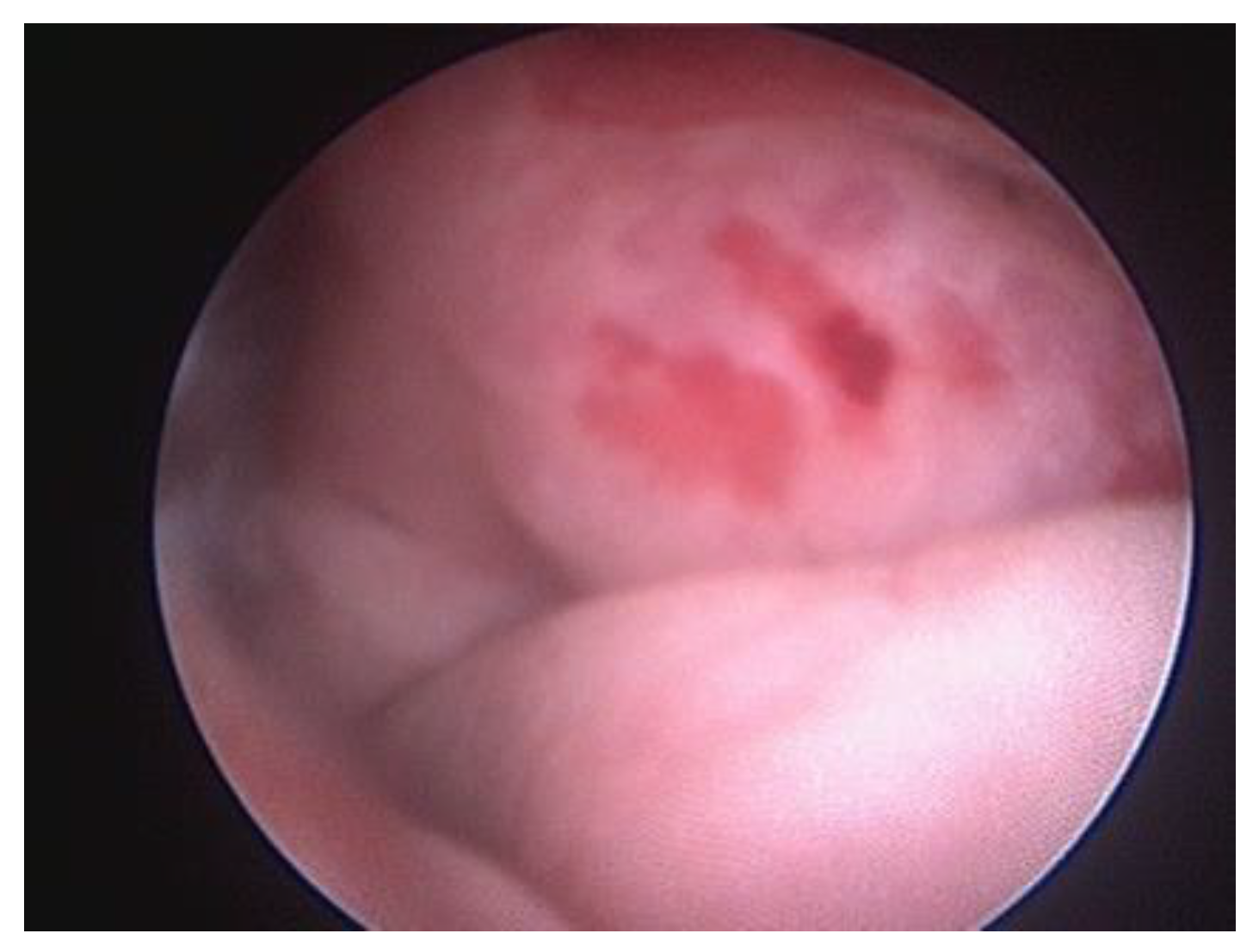 Preprints 145655 g004